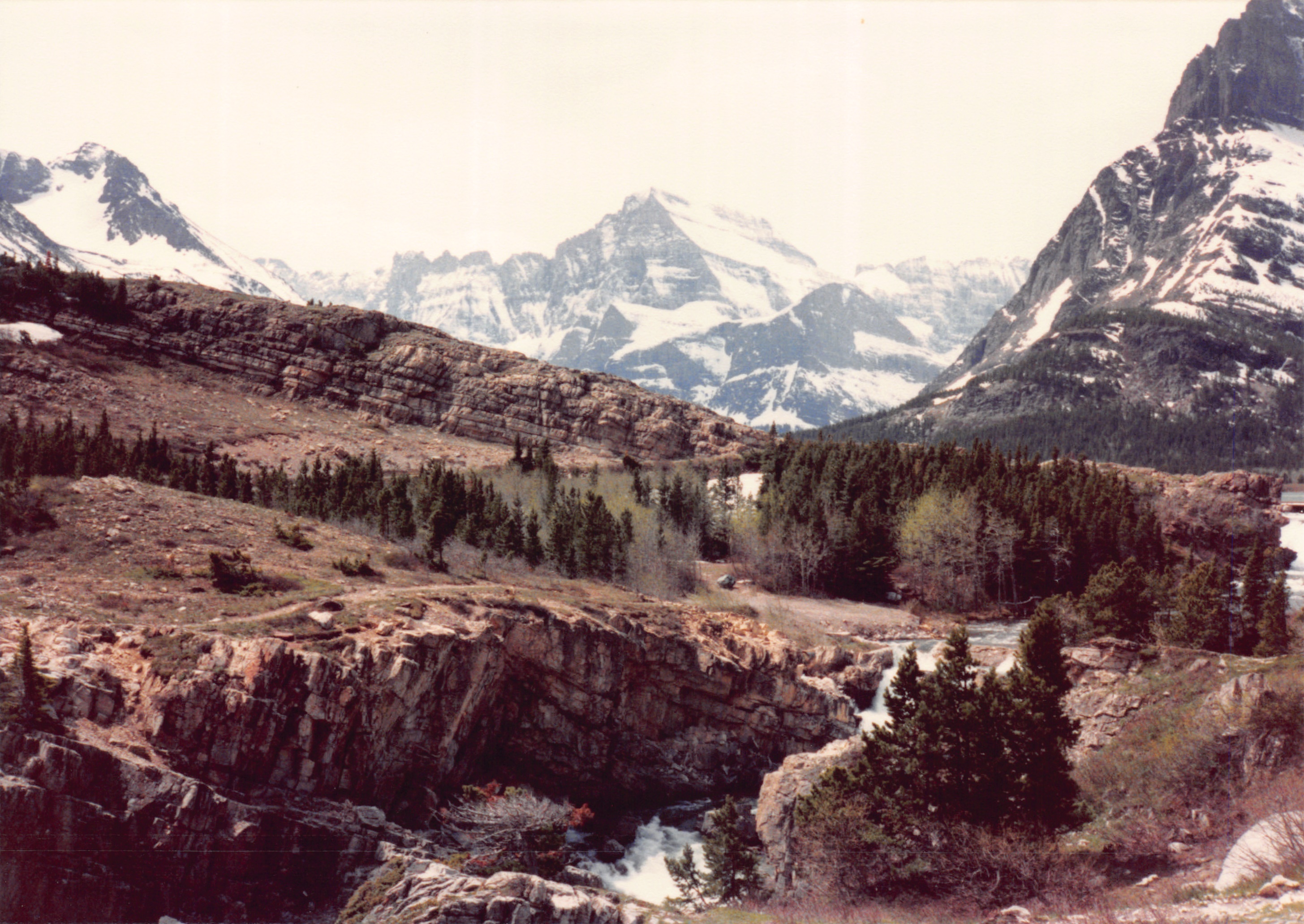 1989_37.jpg
