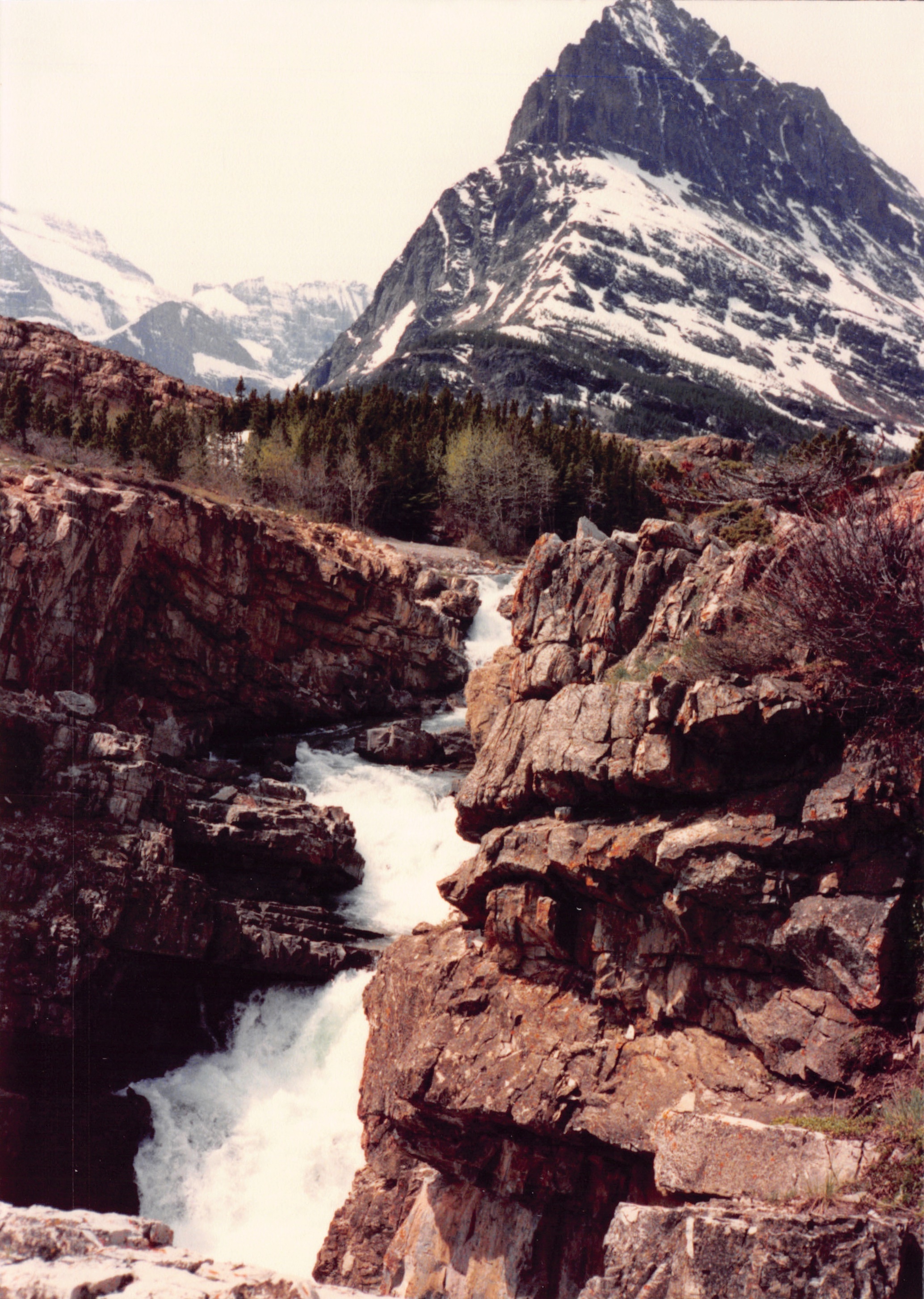 1989_38.jpg