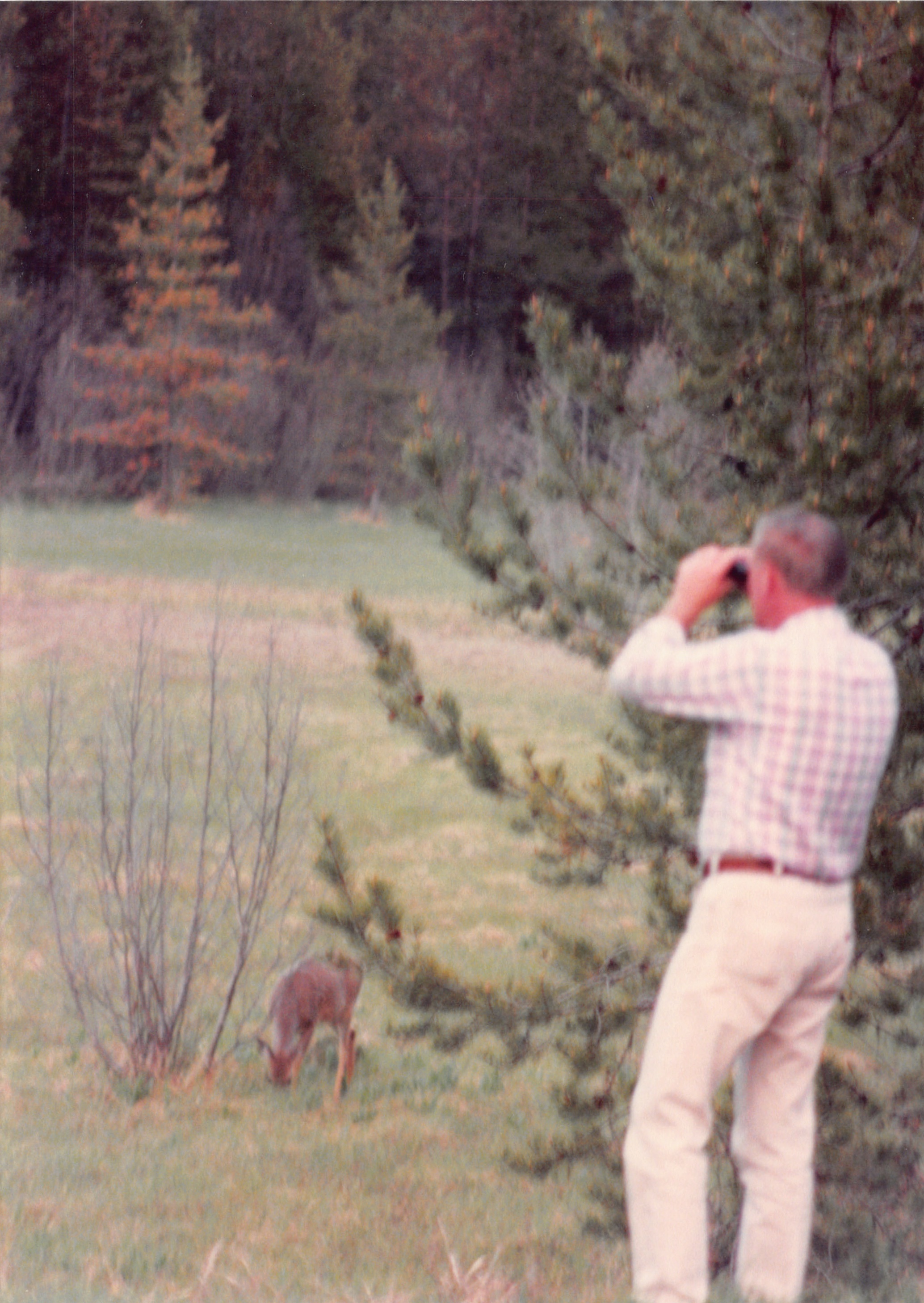 1989_48.jpg