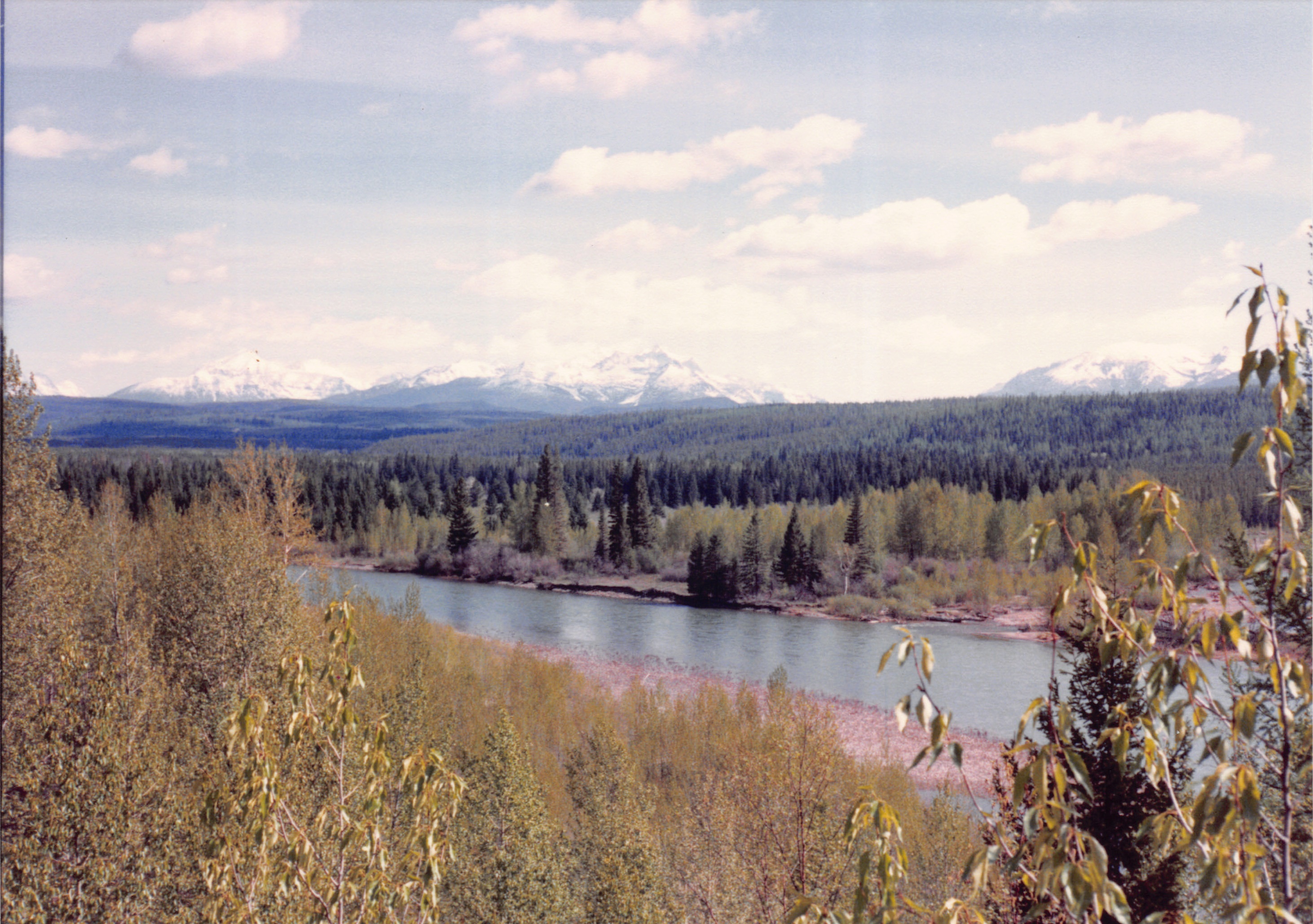1989_50.jpg