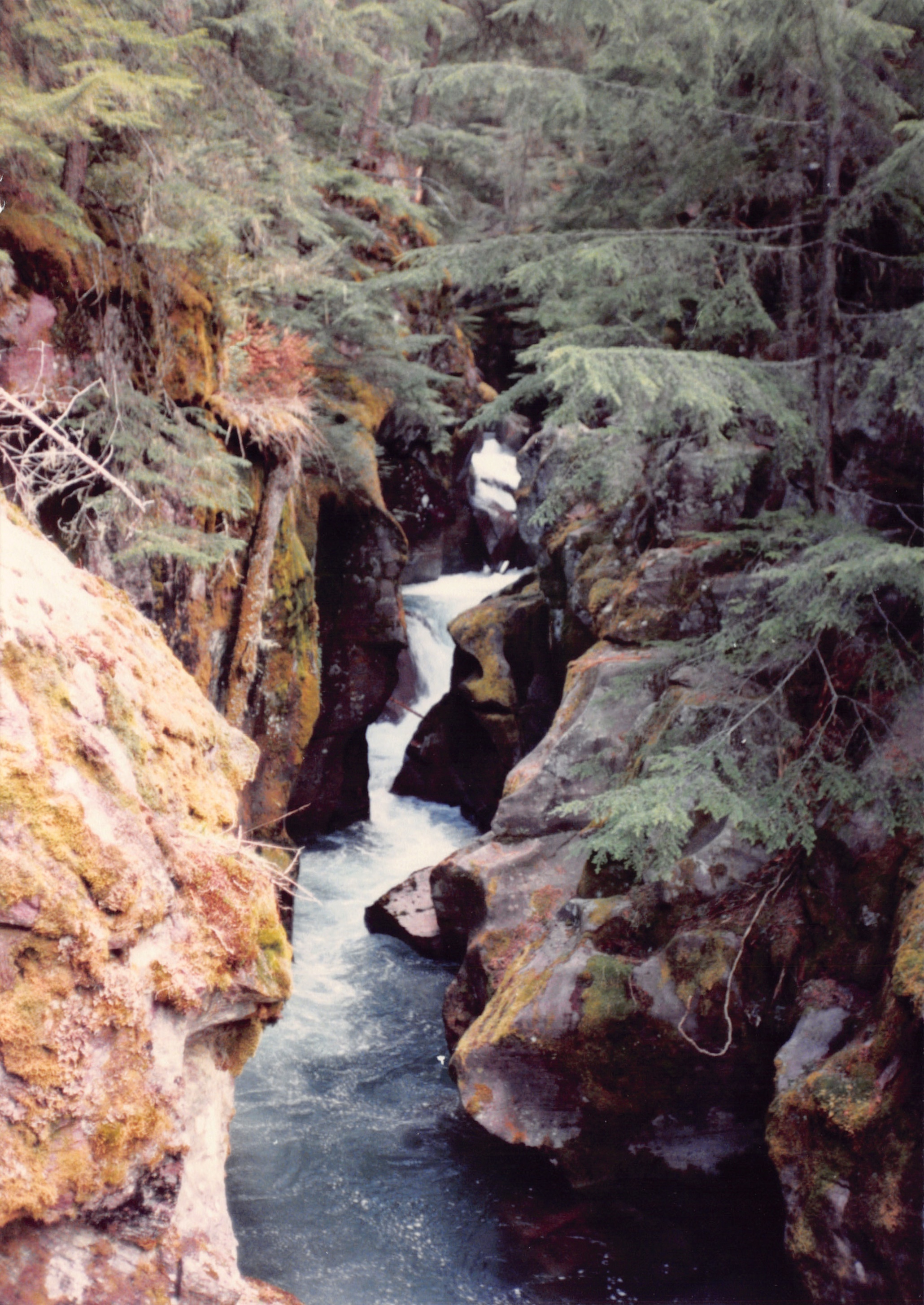 1989_51.jpg