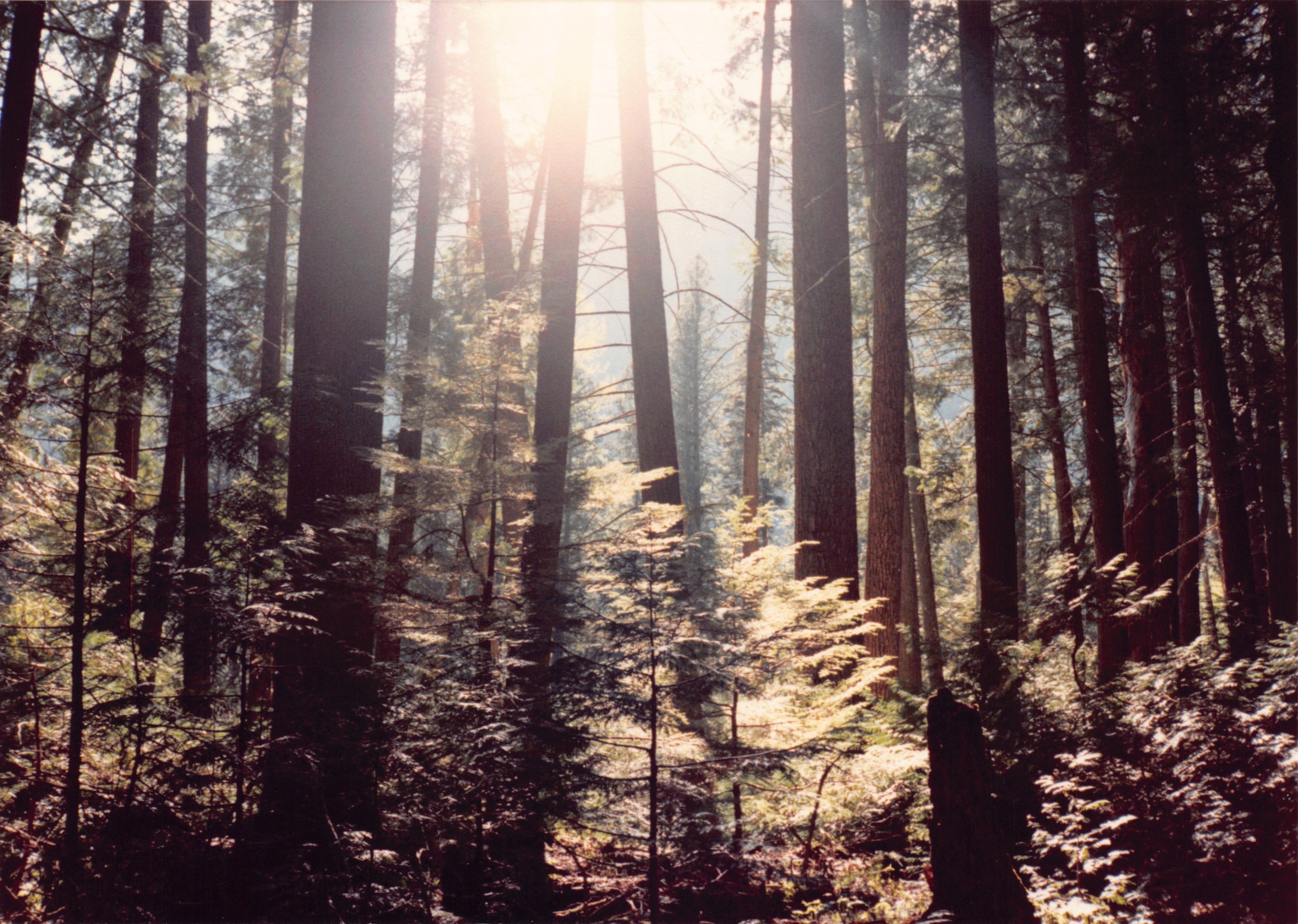 1989_53.jpg