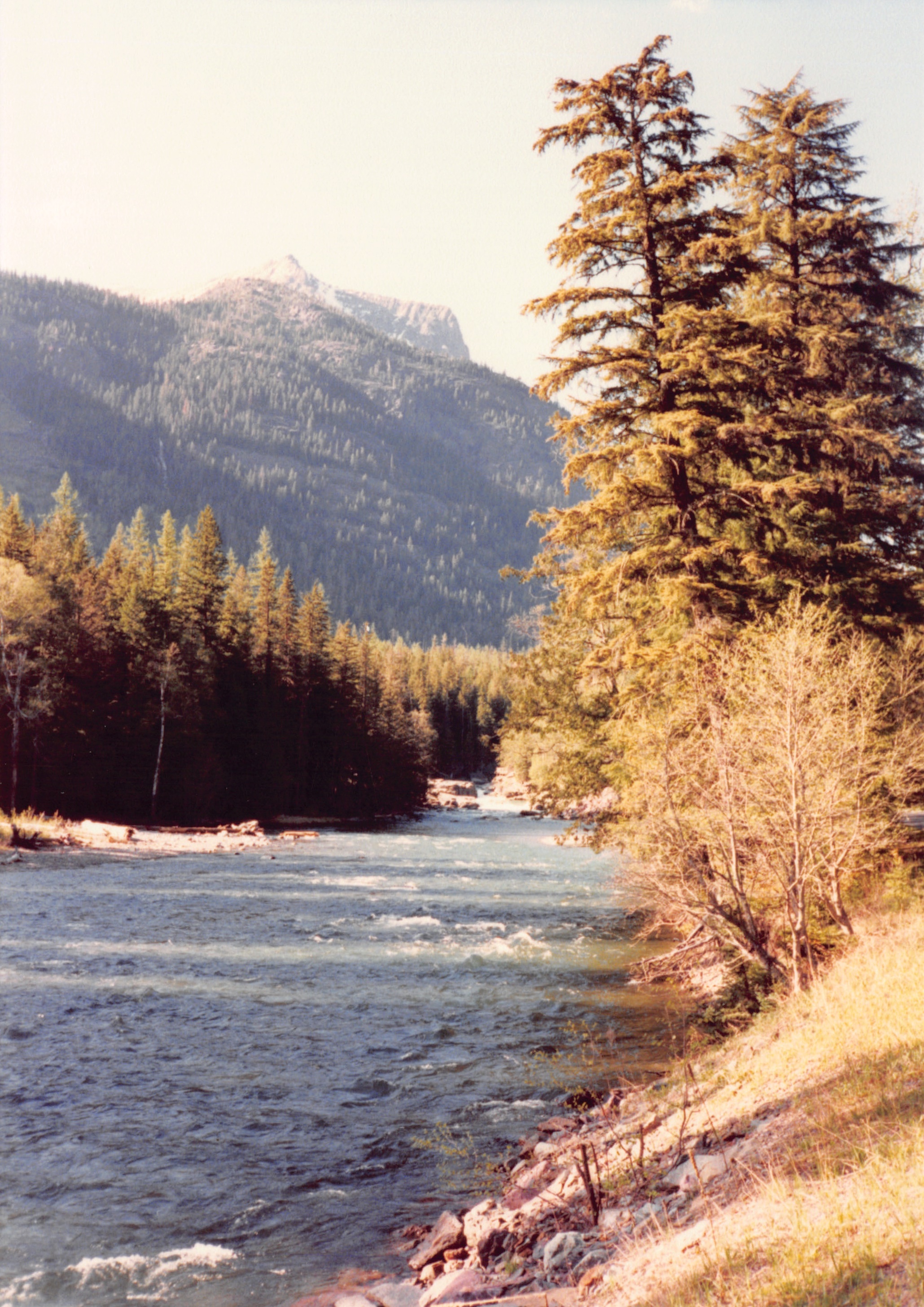 1989_54.jpg