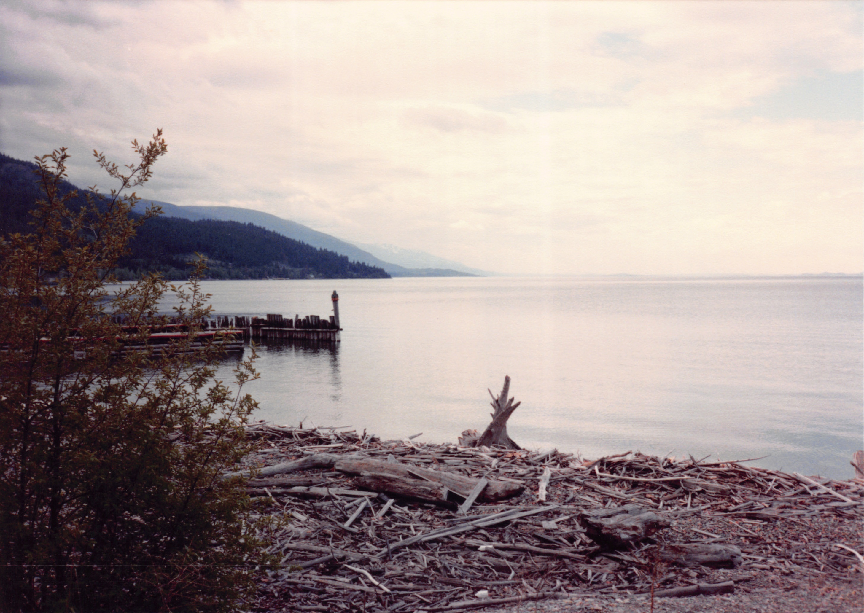 1989_57.jpg