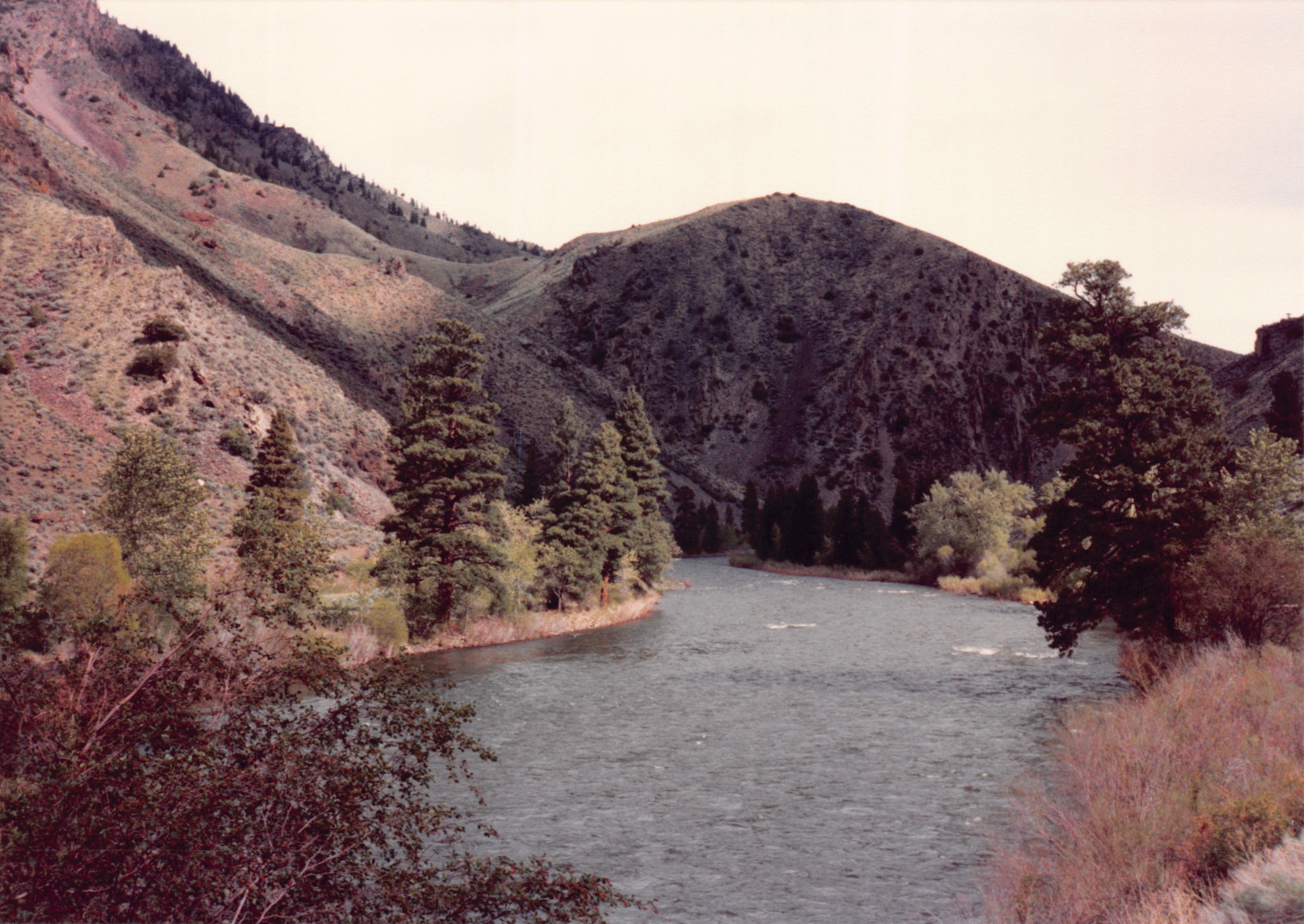 1989_59.jpg