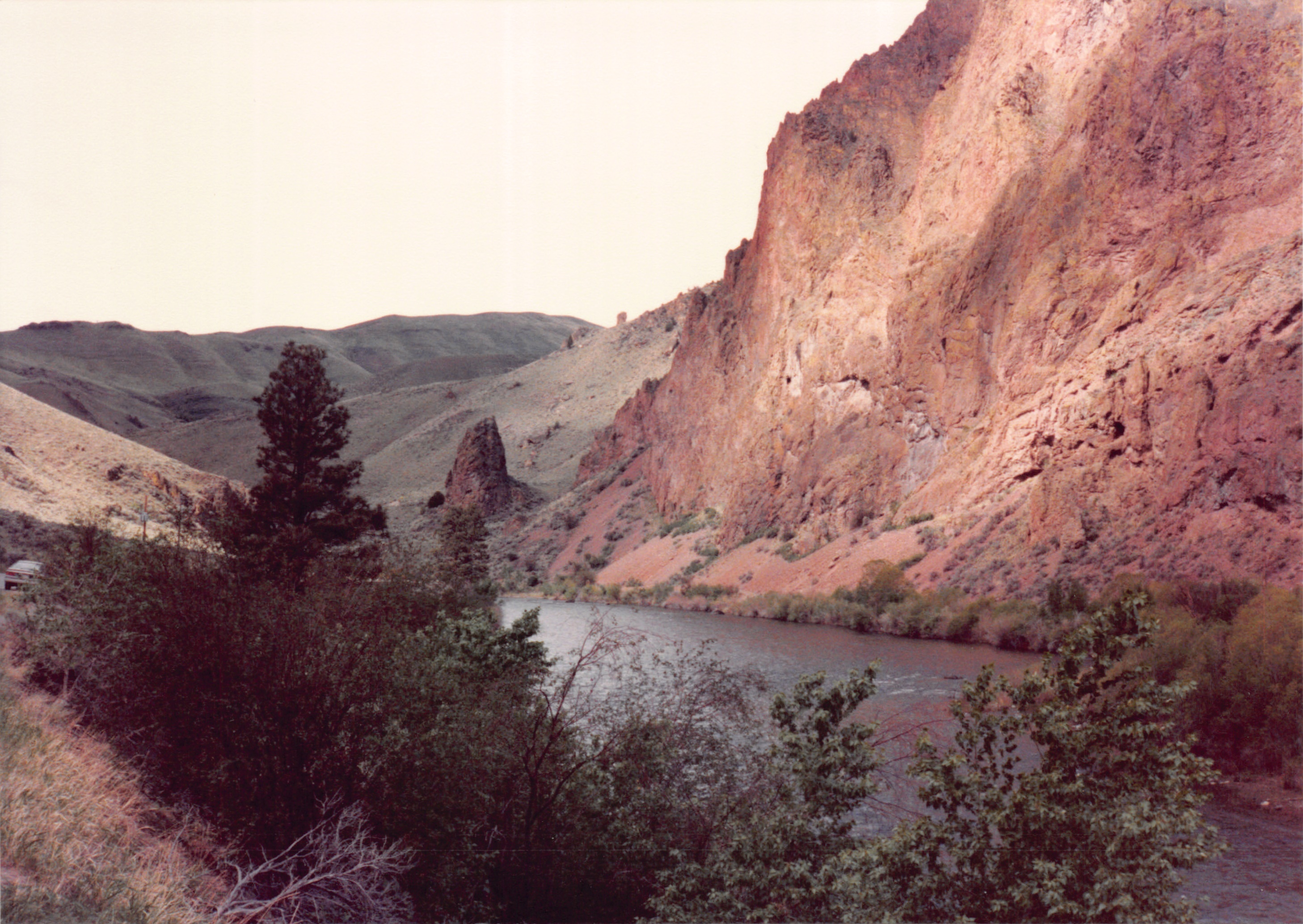 1989_60.jpg
