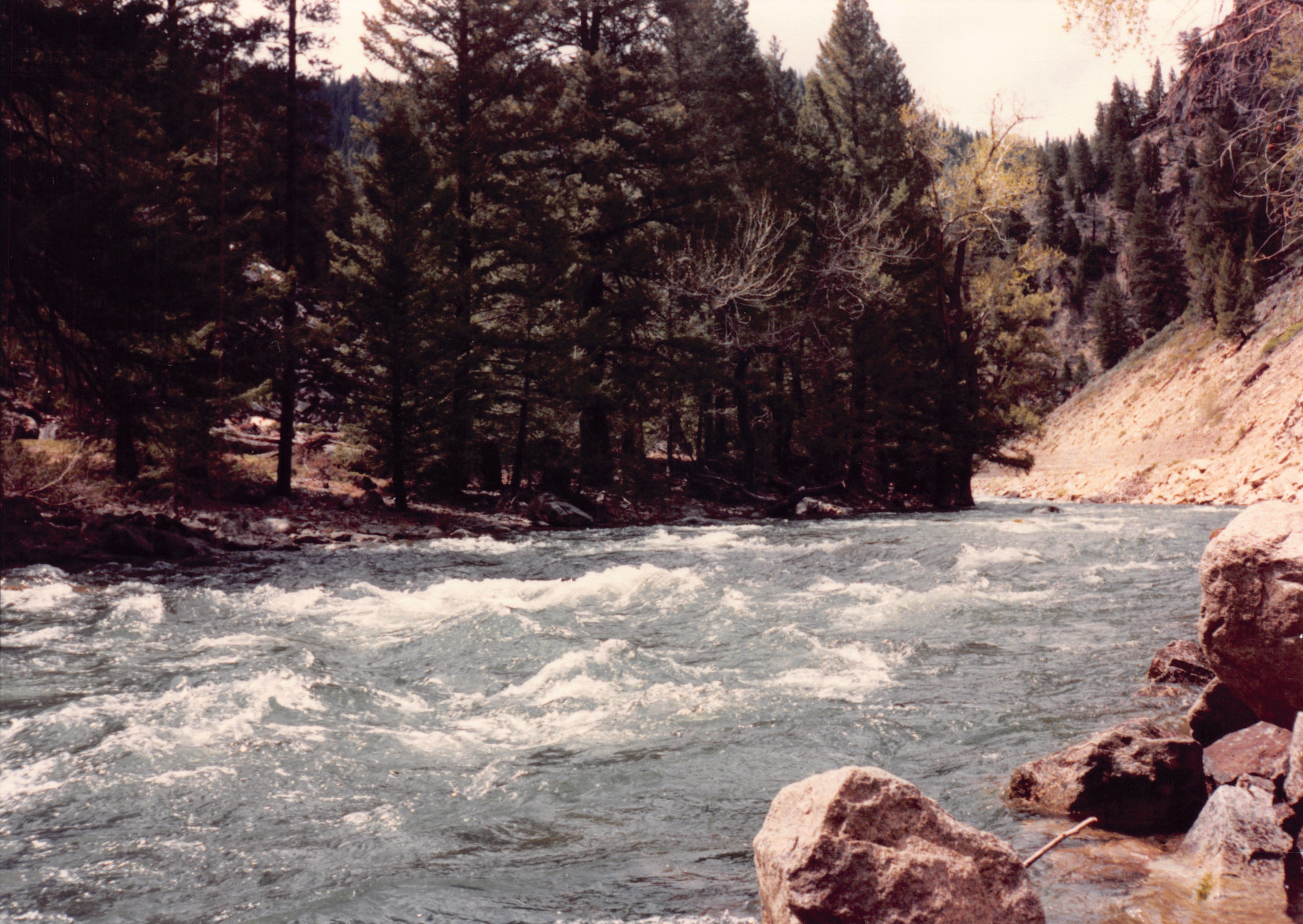 1989_66.jpg