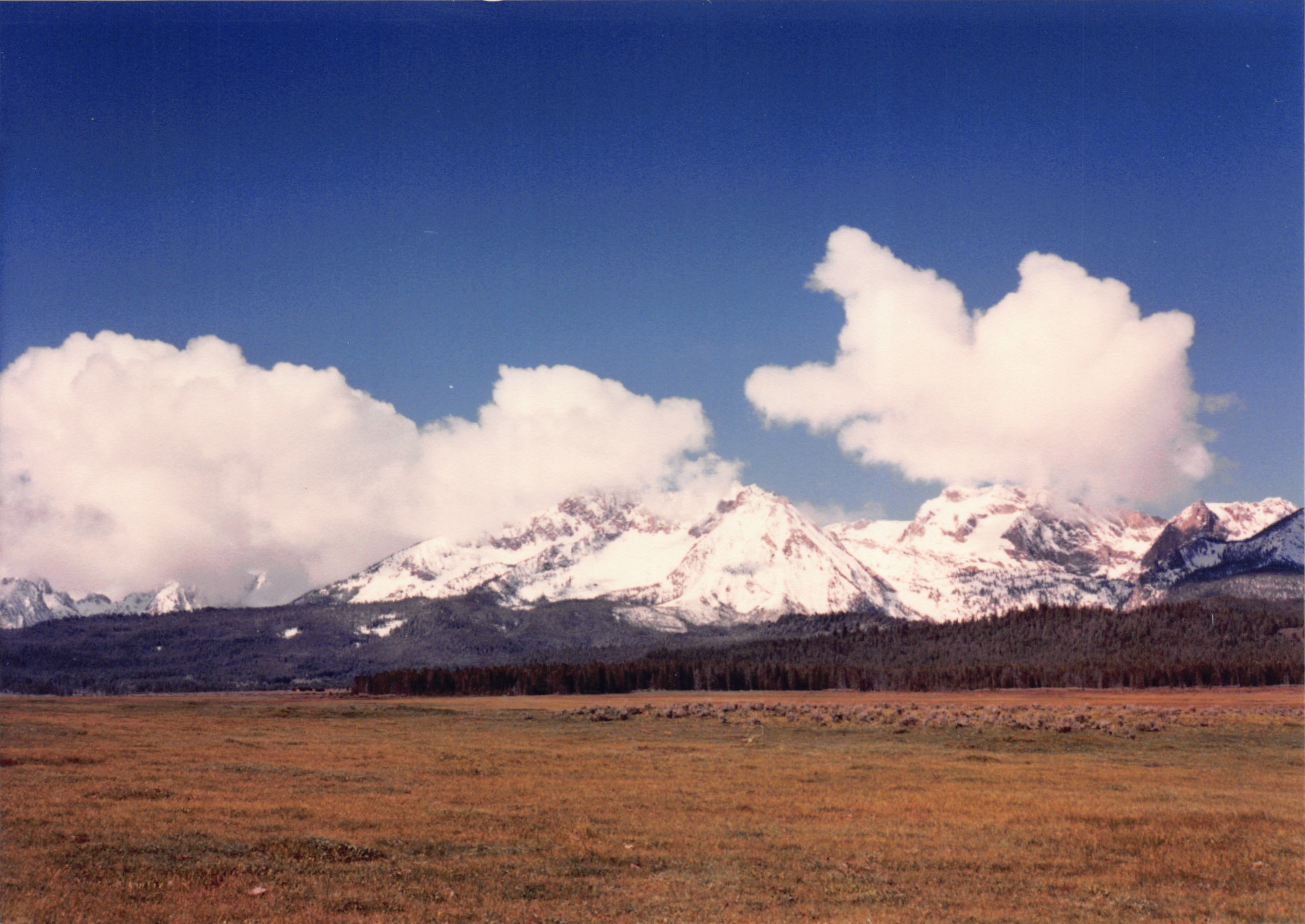 1989_67.jpg