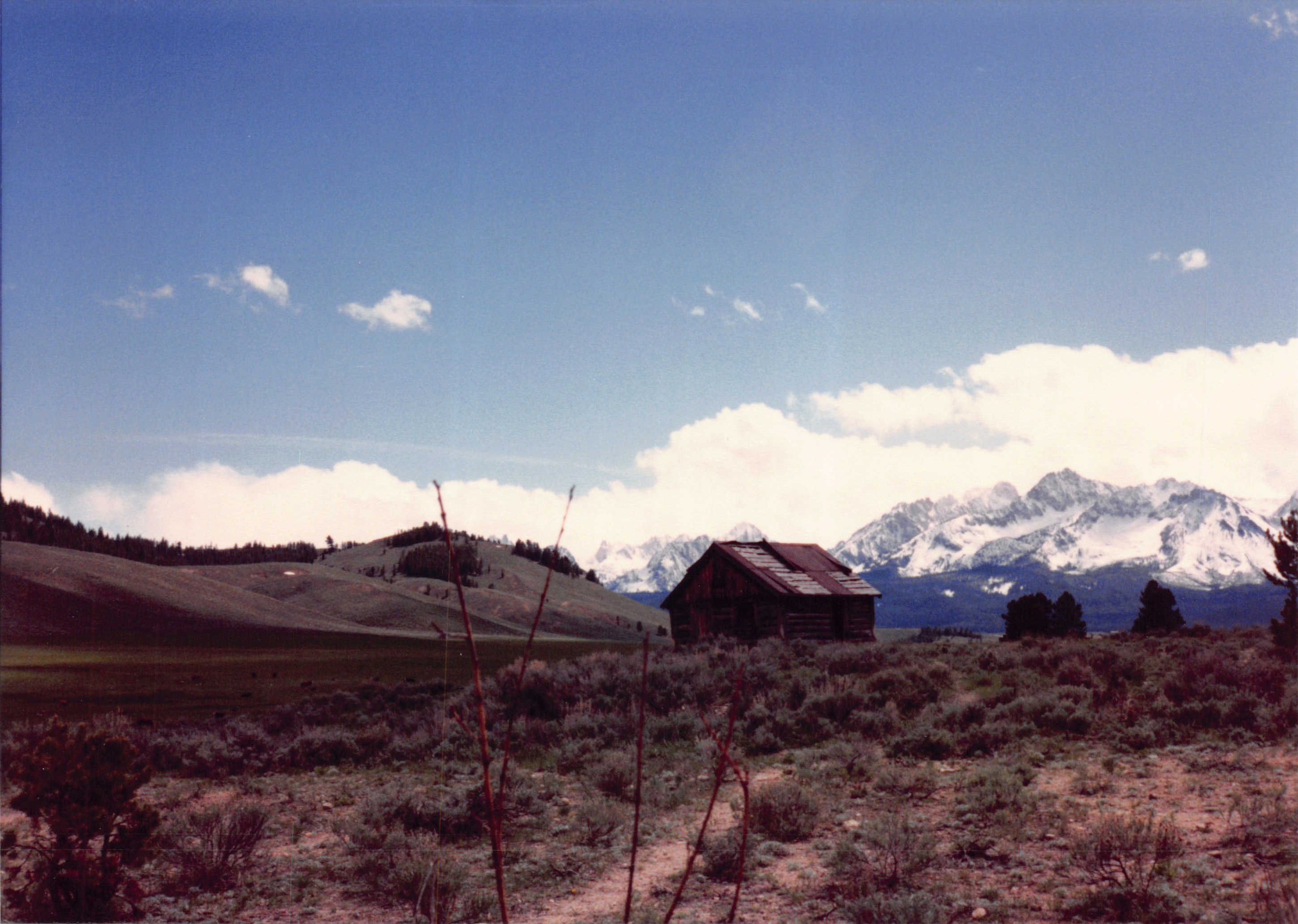 1989_69.jpg
