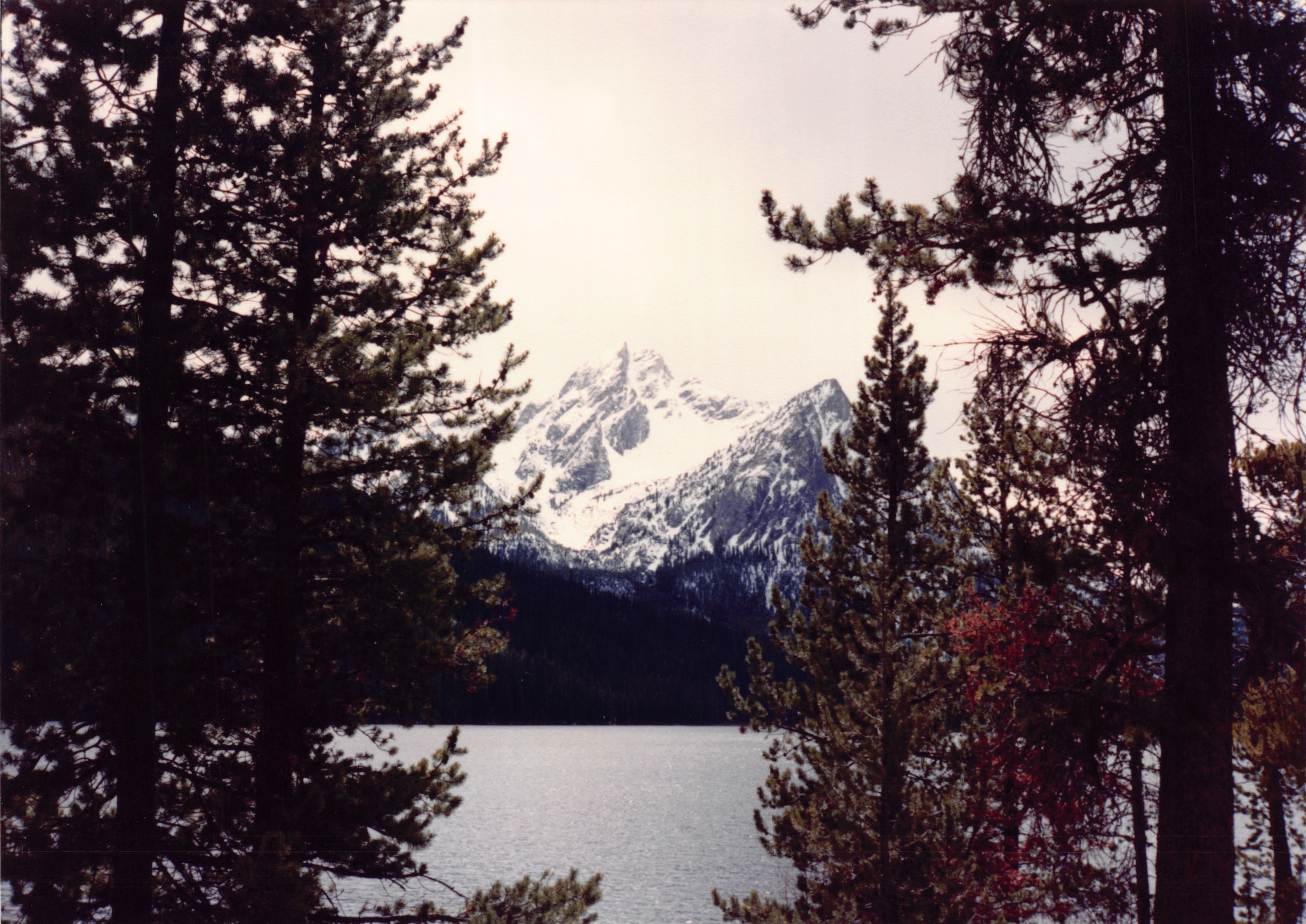 1989_72.jpg