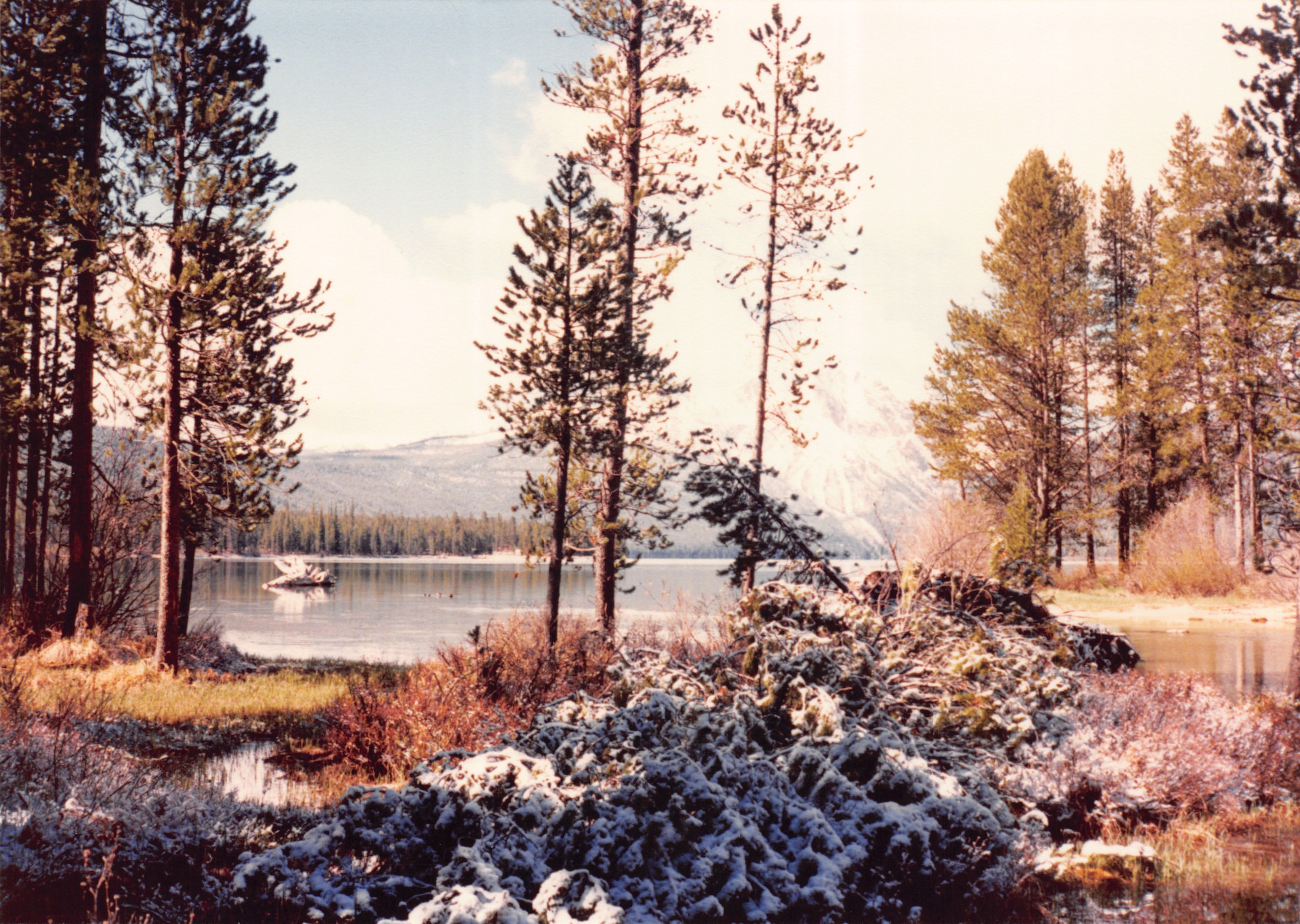 1989_74.jpg
