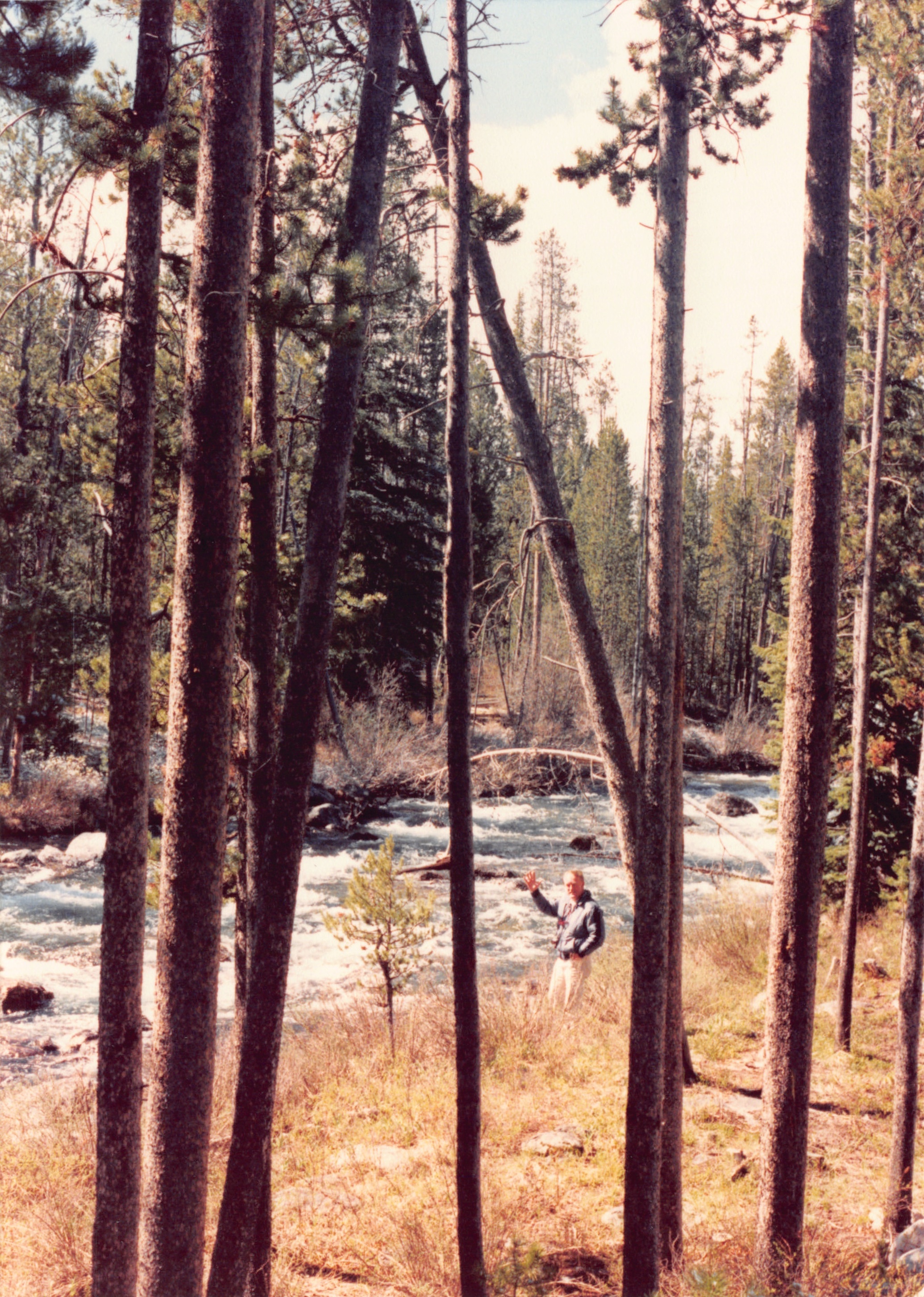 1989_75.jpg