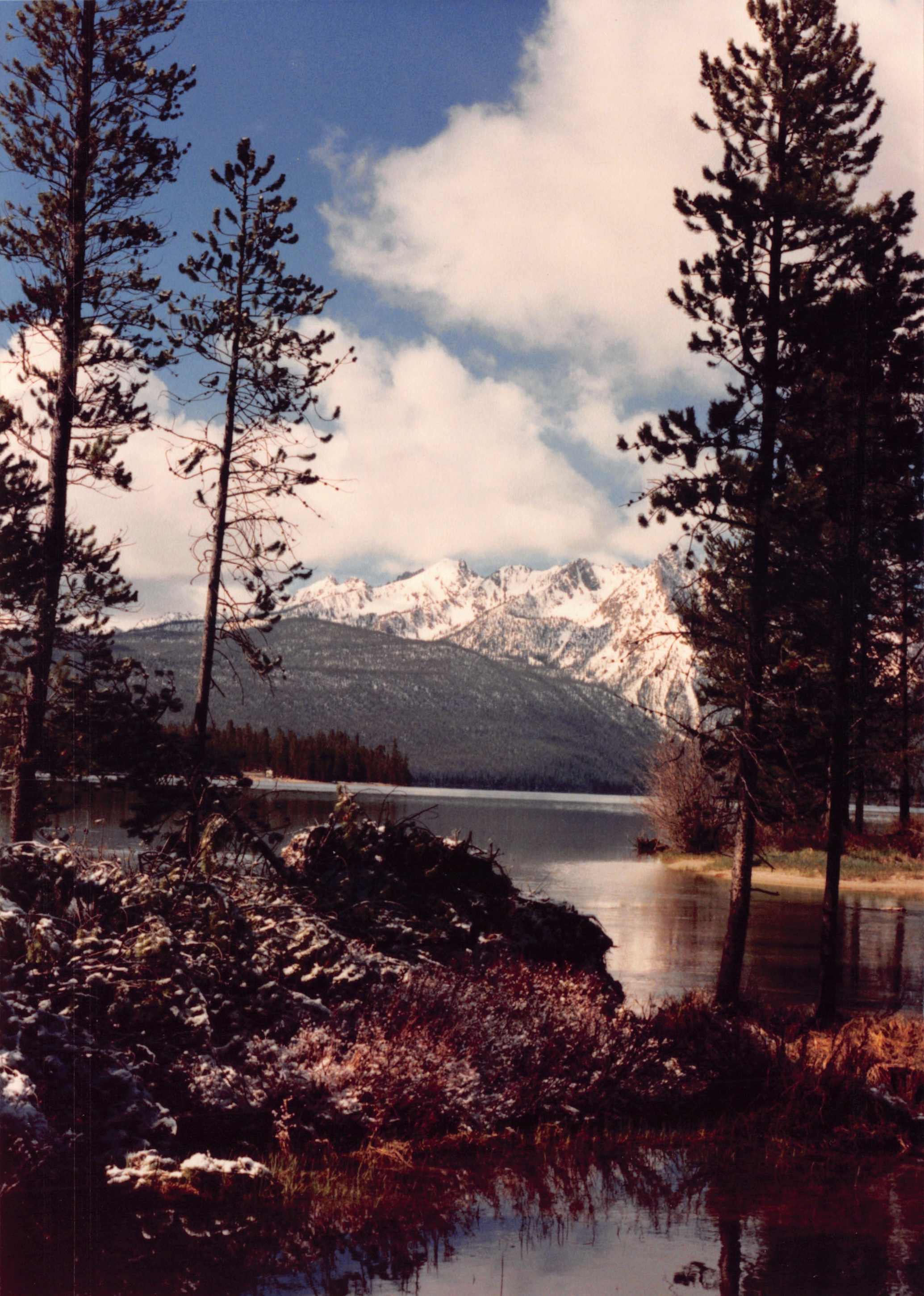 1989_77.jpg