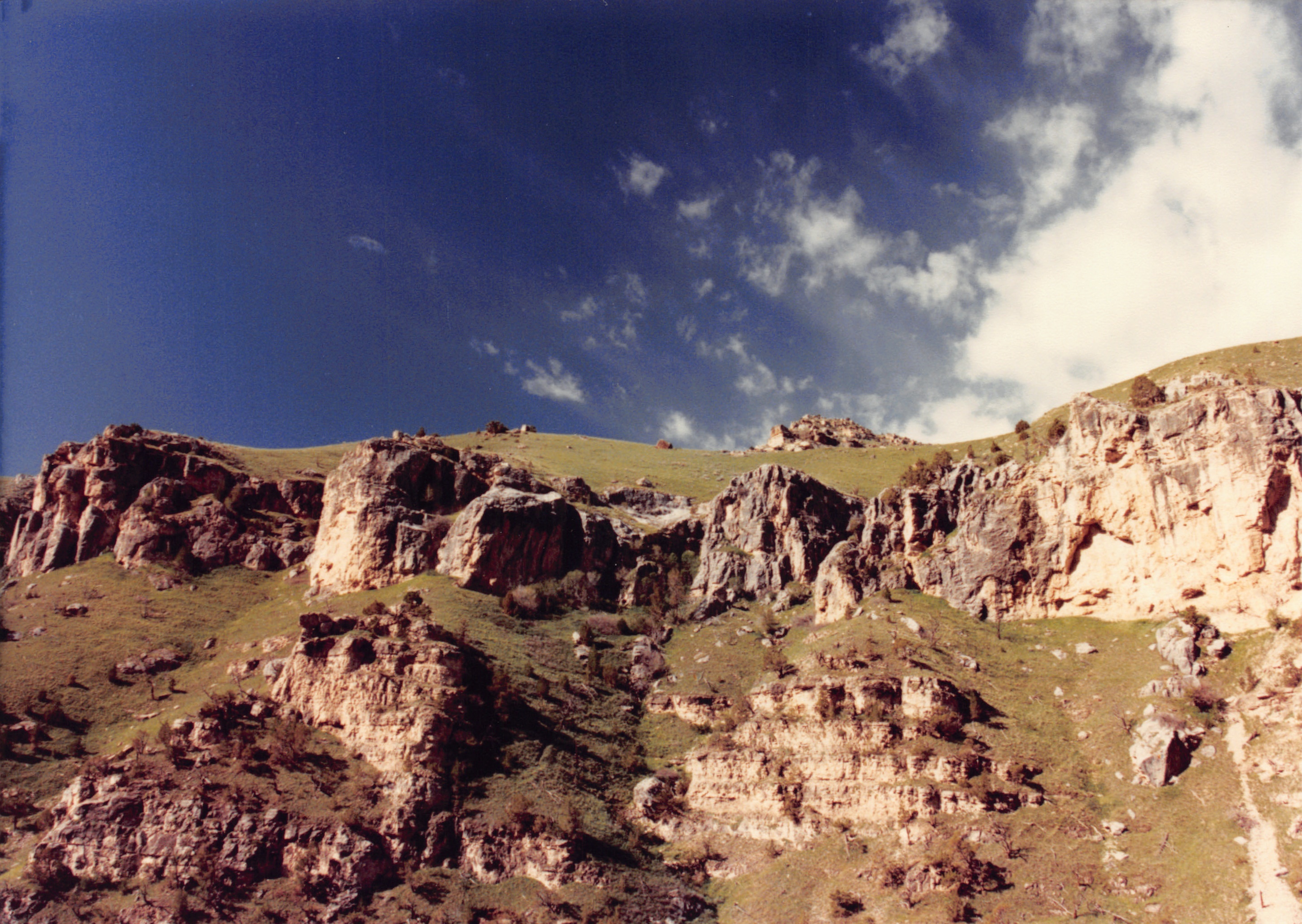 1990_06.jpg