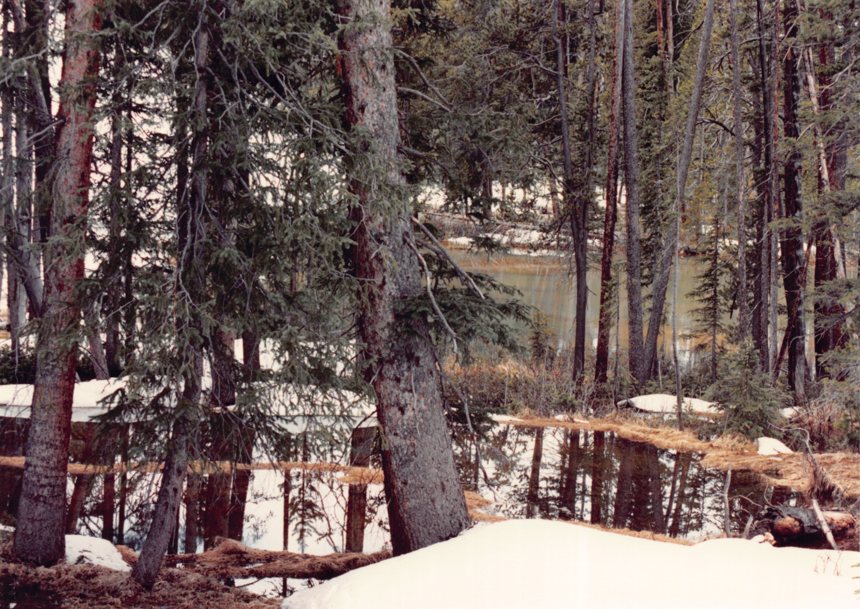 1990_15.jpg