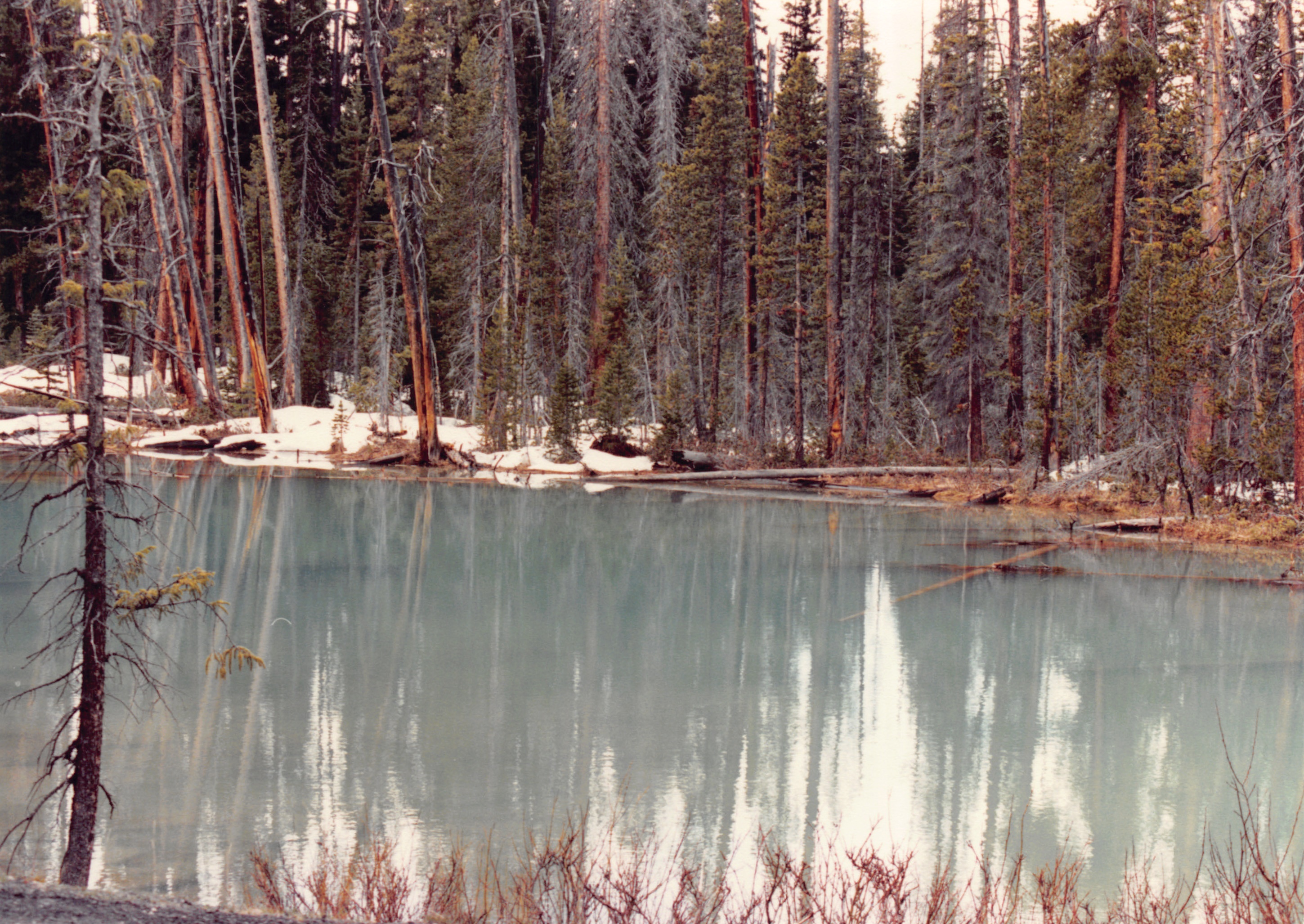 1990_16.jpg