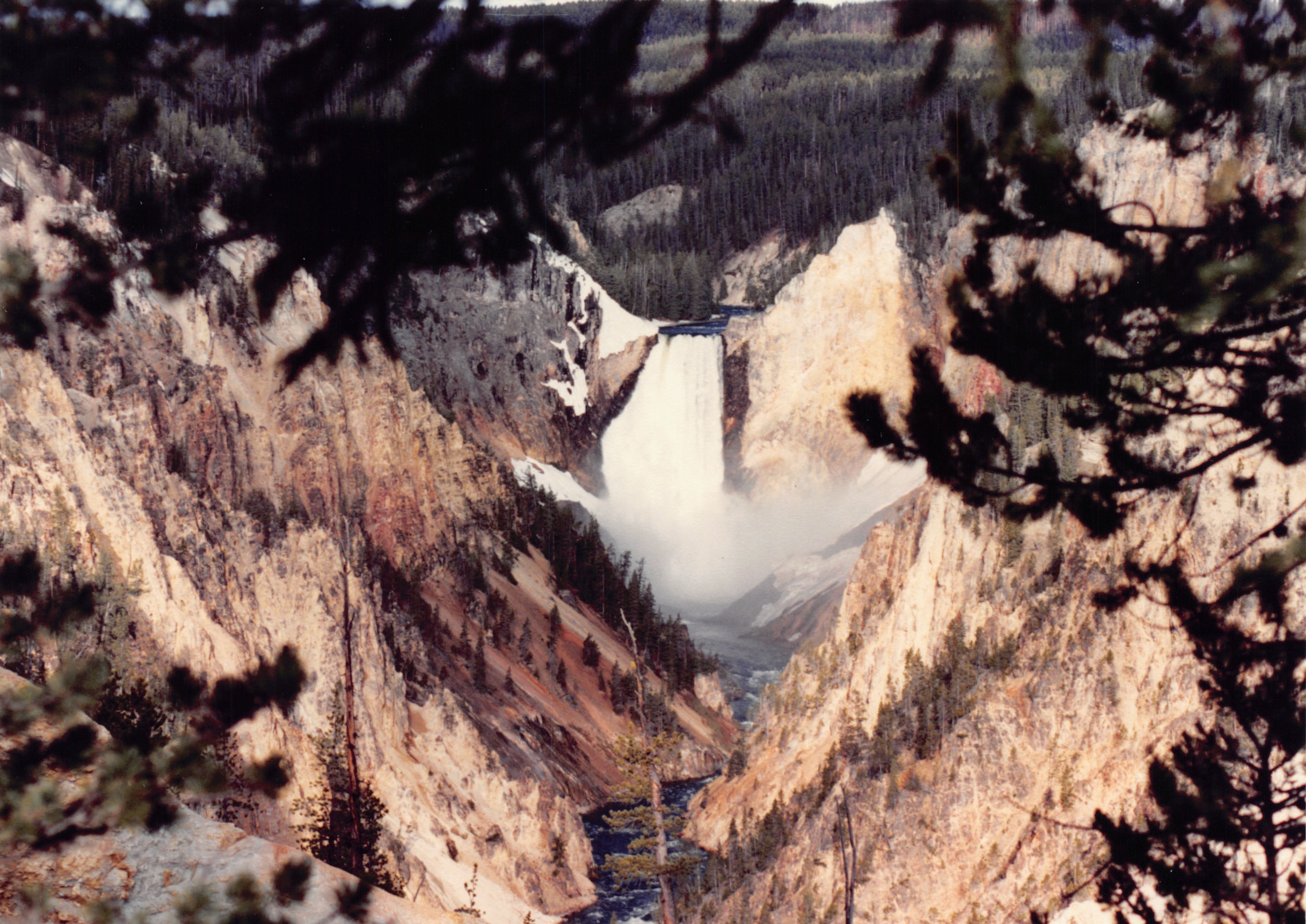 1990_18.jpg