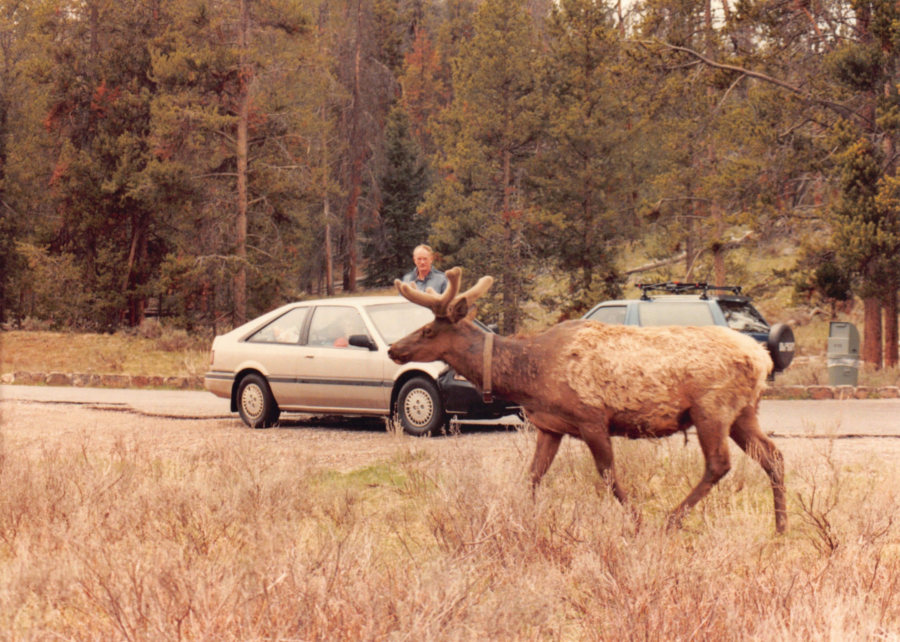 1990_32.jpg