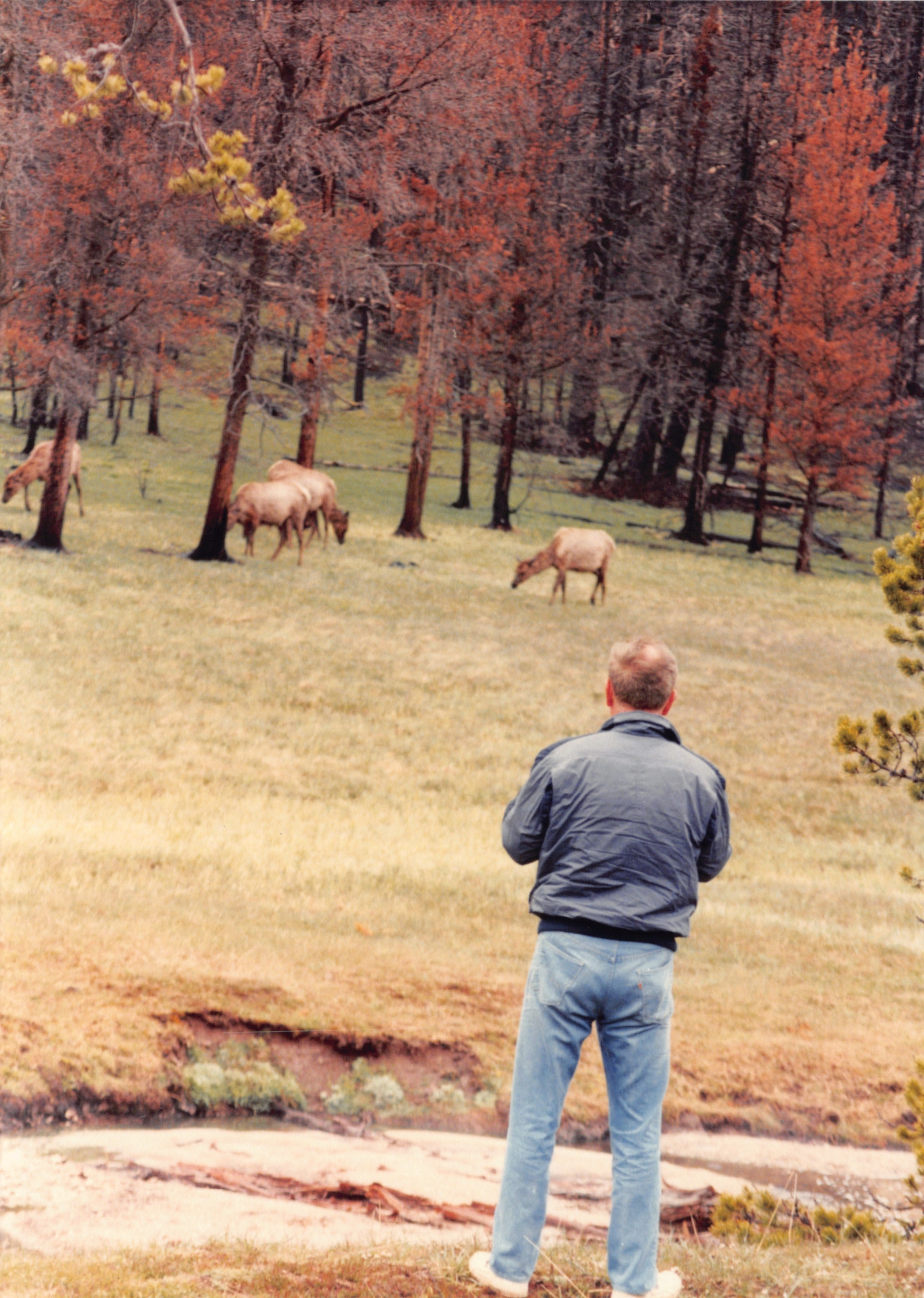 1990_33.jpg