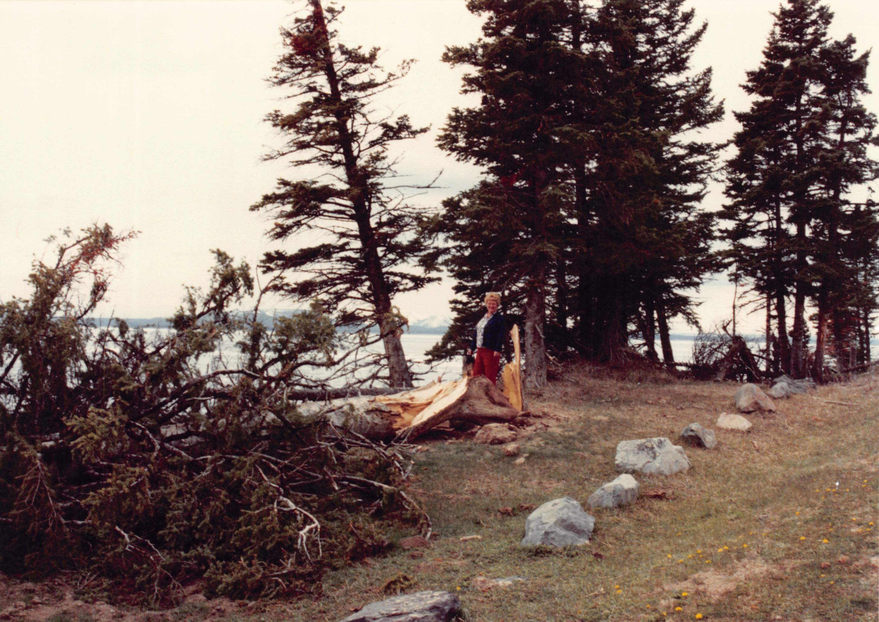 1990_34.jpg