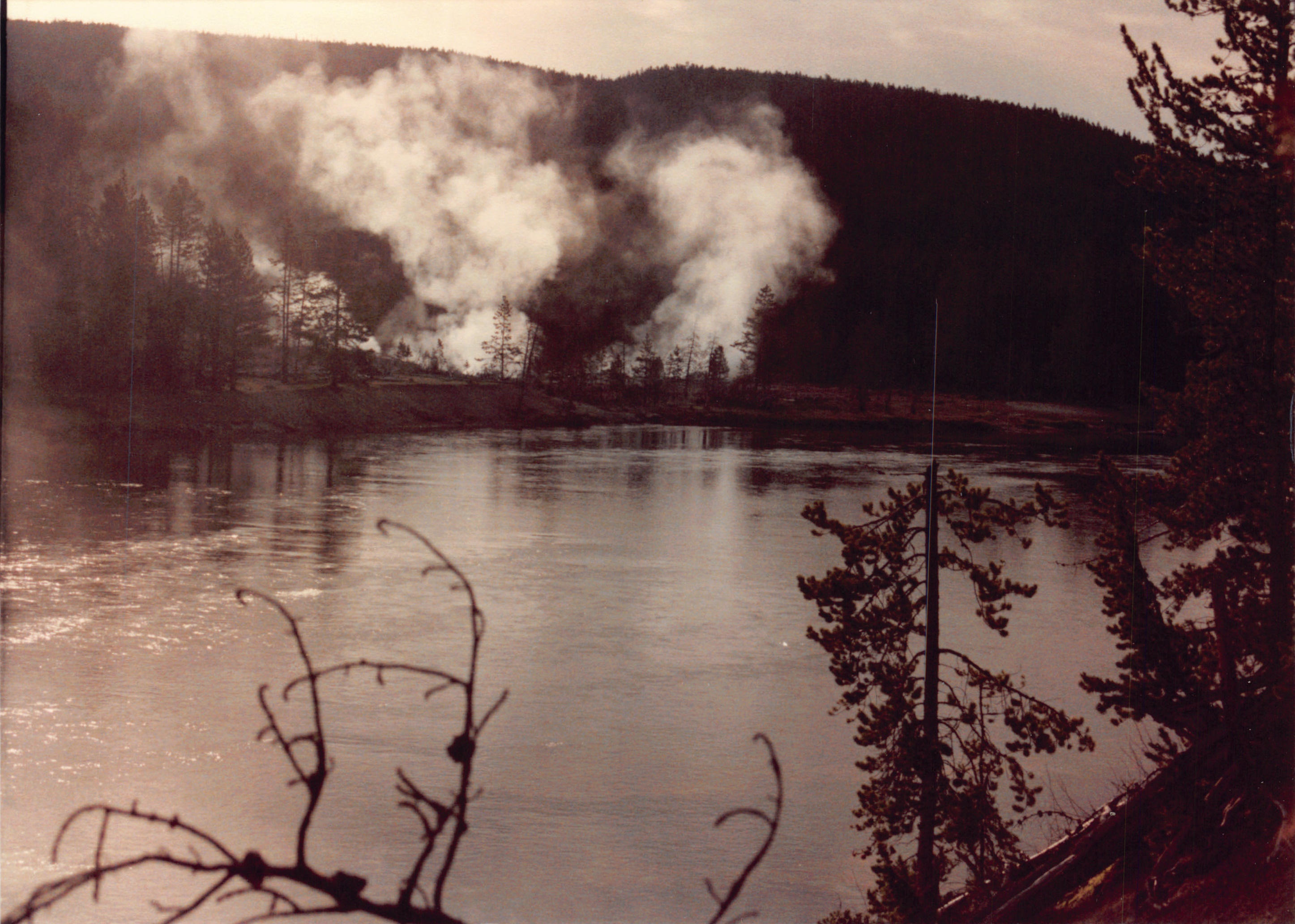 1990_42.jpg
