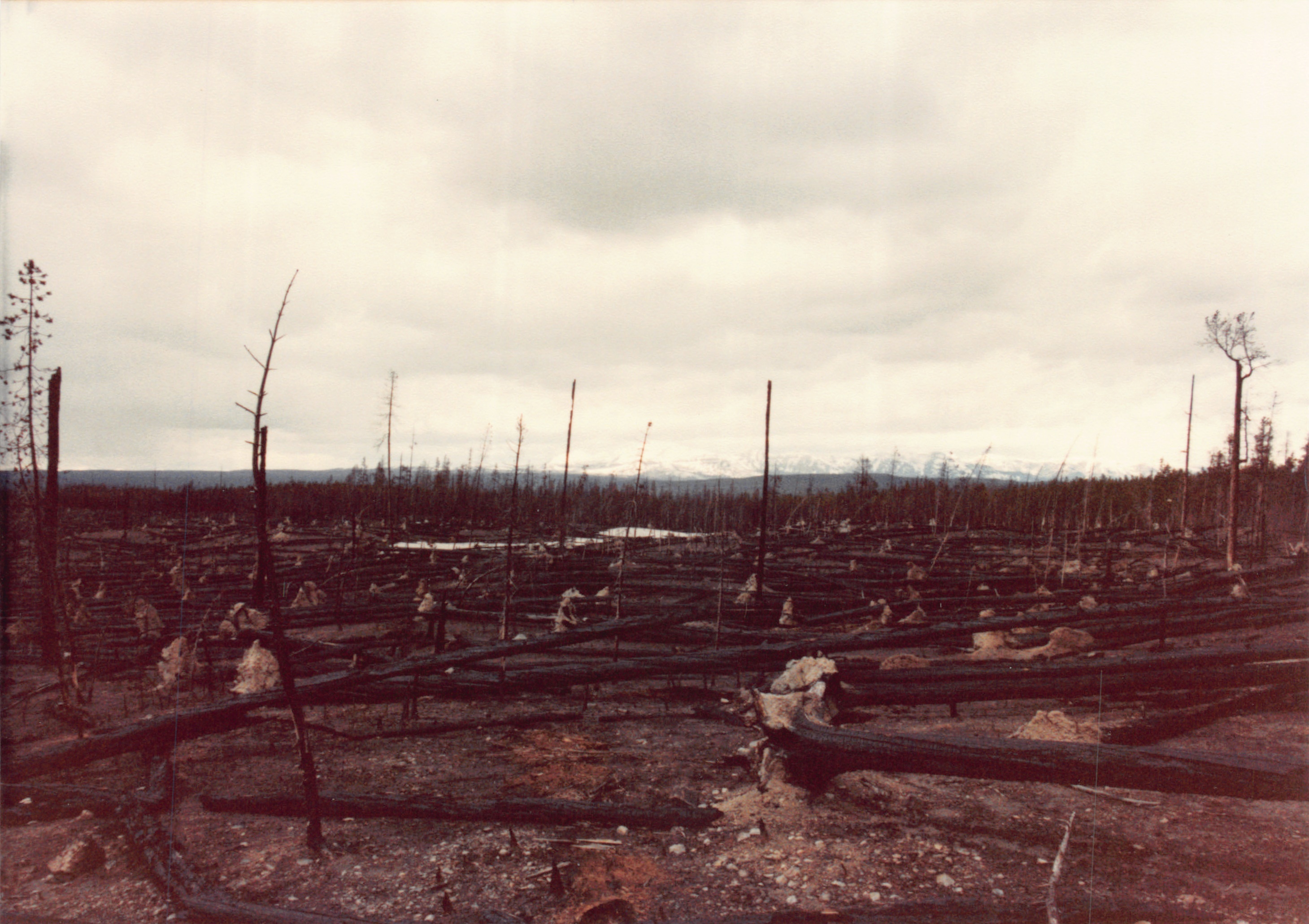 1990_43.jpg