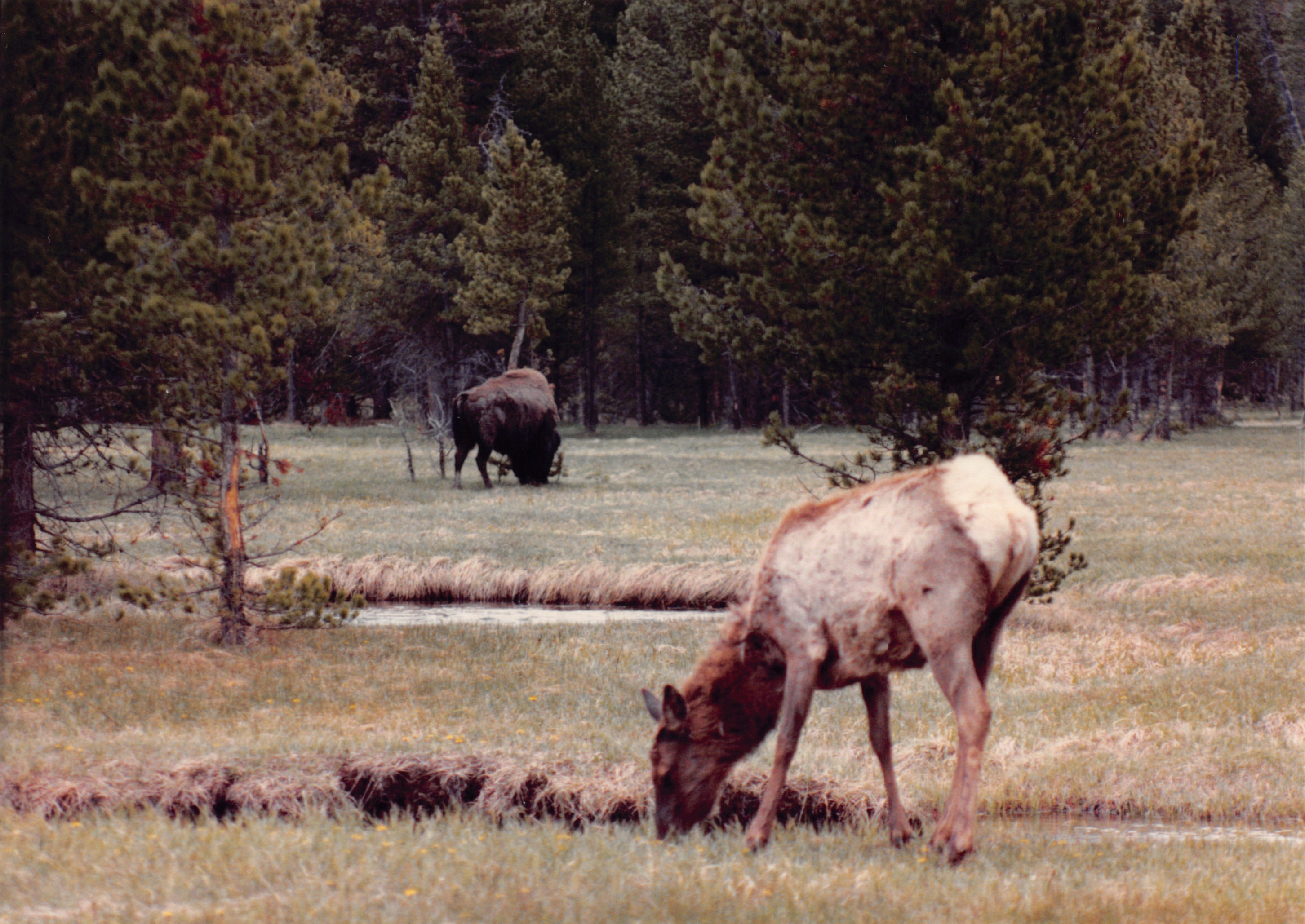 1990_44.jpg