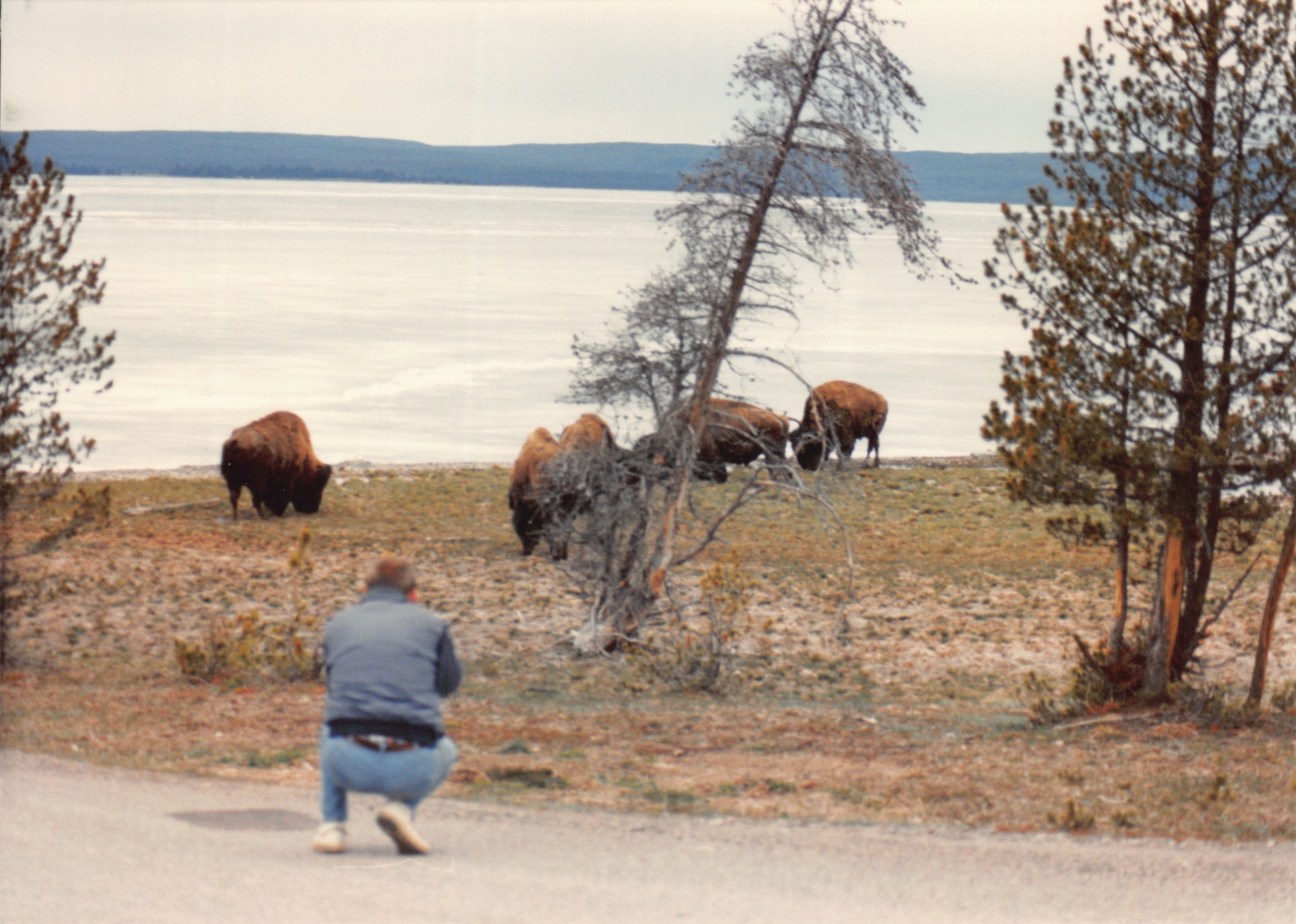 1990_50.jpg