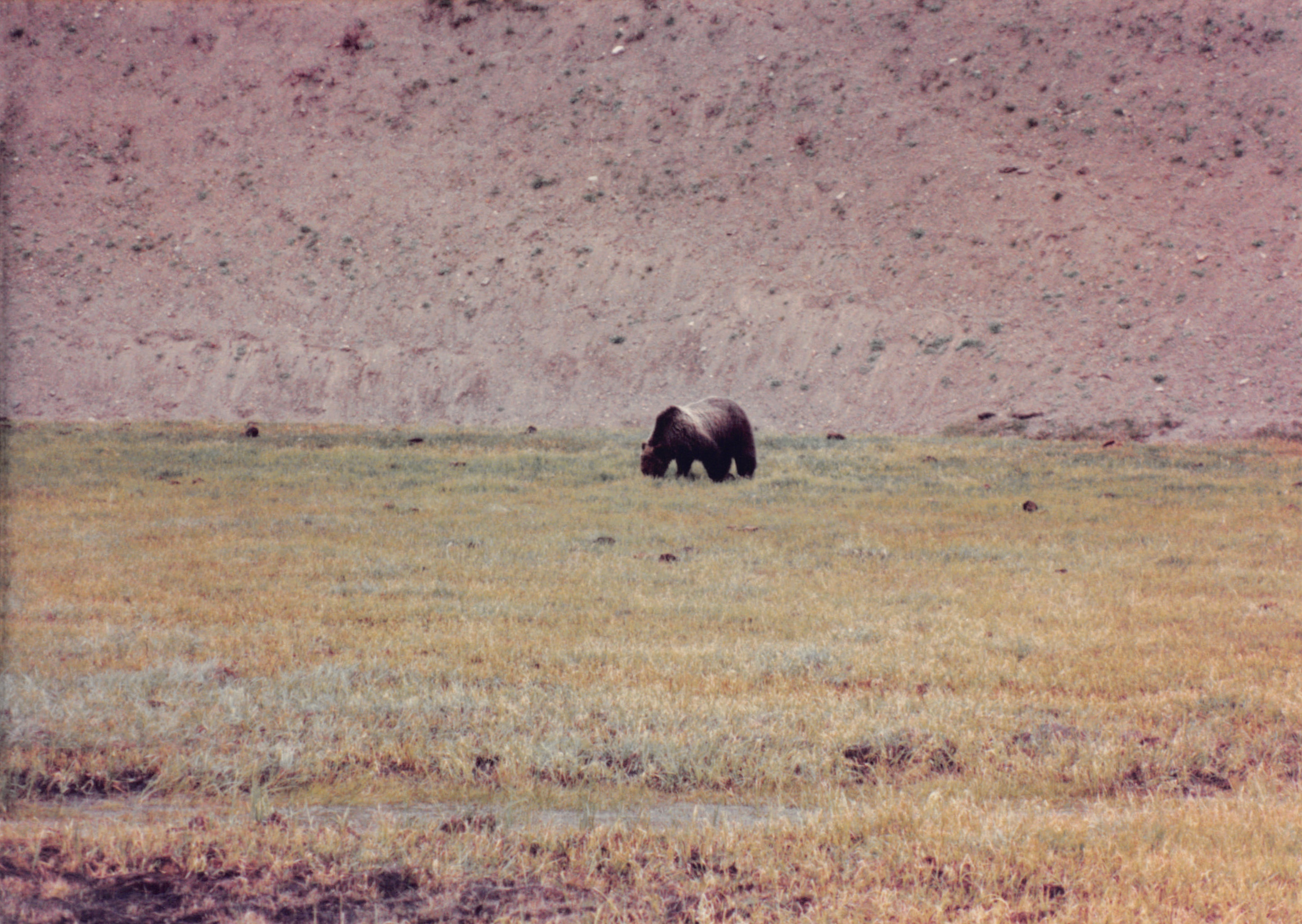 1990_51.jpg