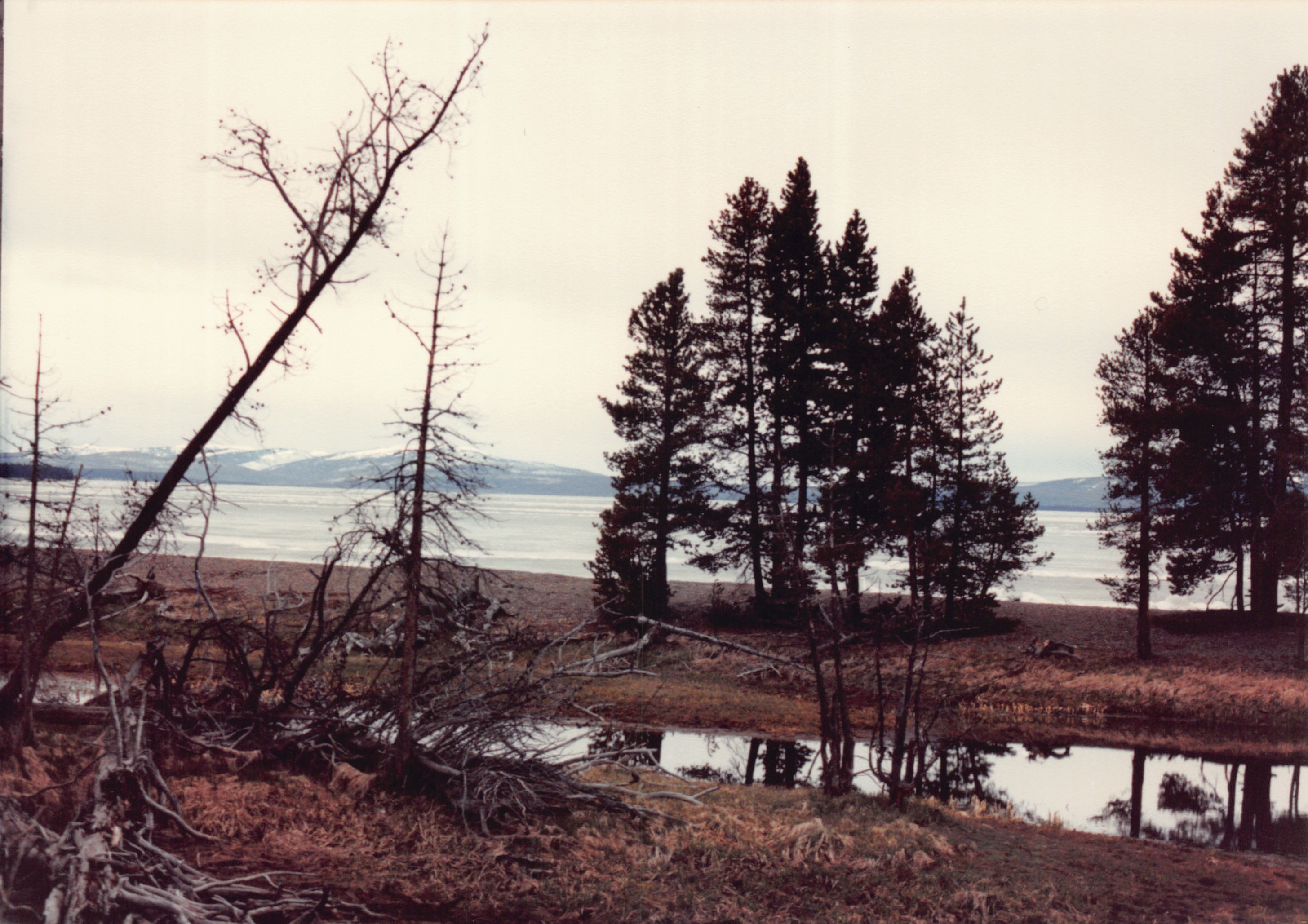 1990_55.jpg