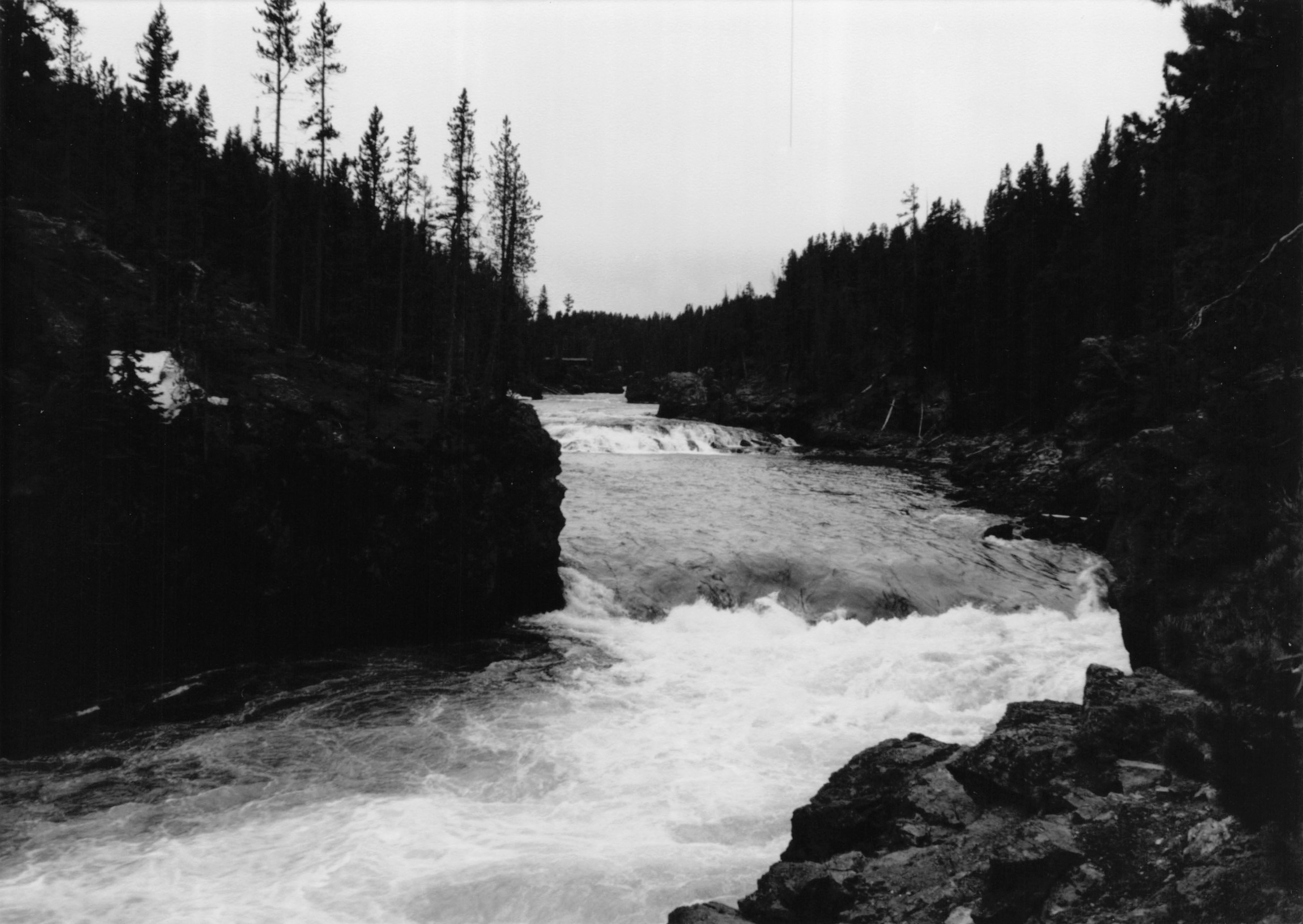 1990_56.jpg
