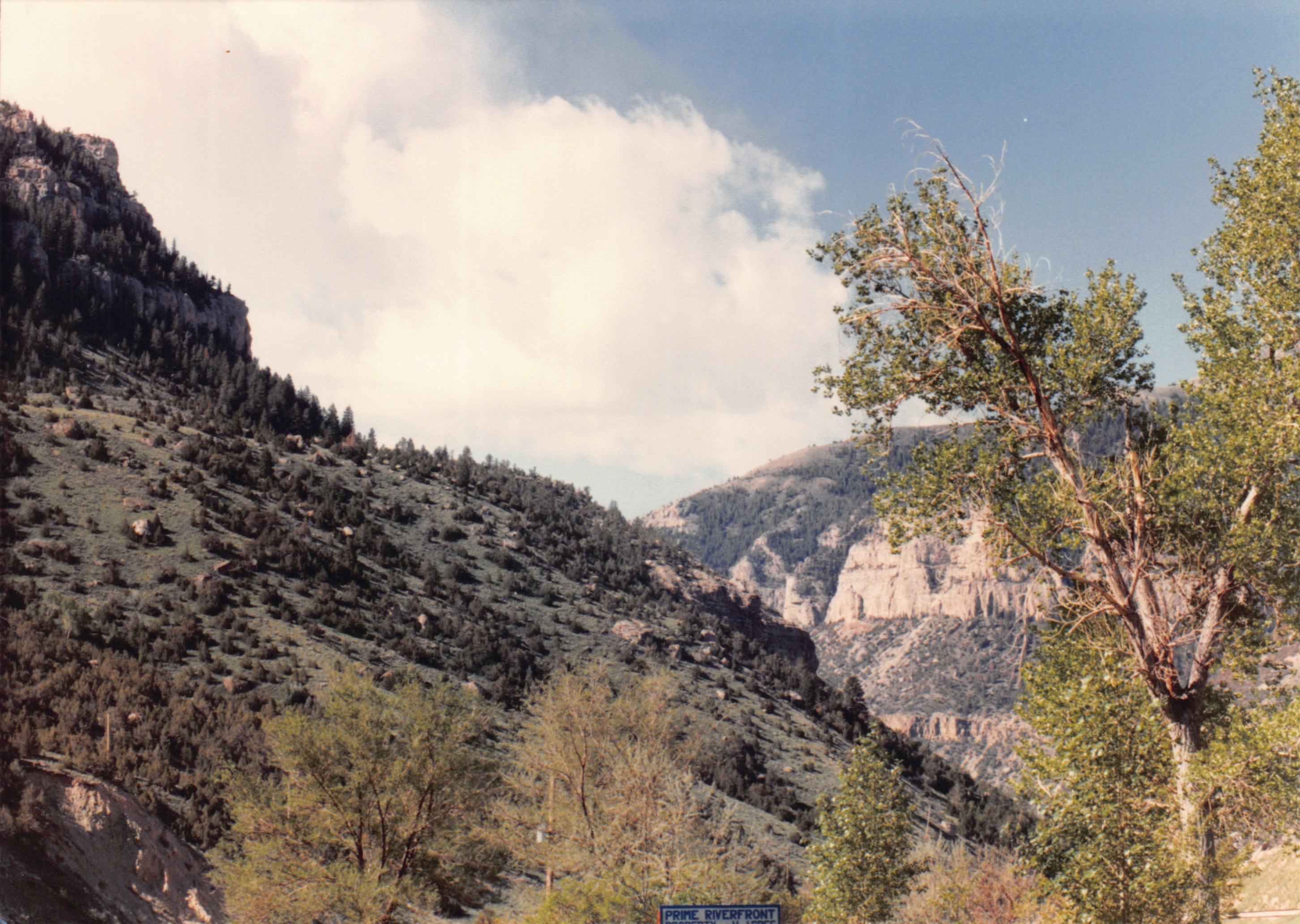 1990_64.jpg