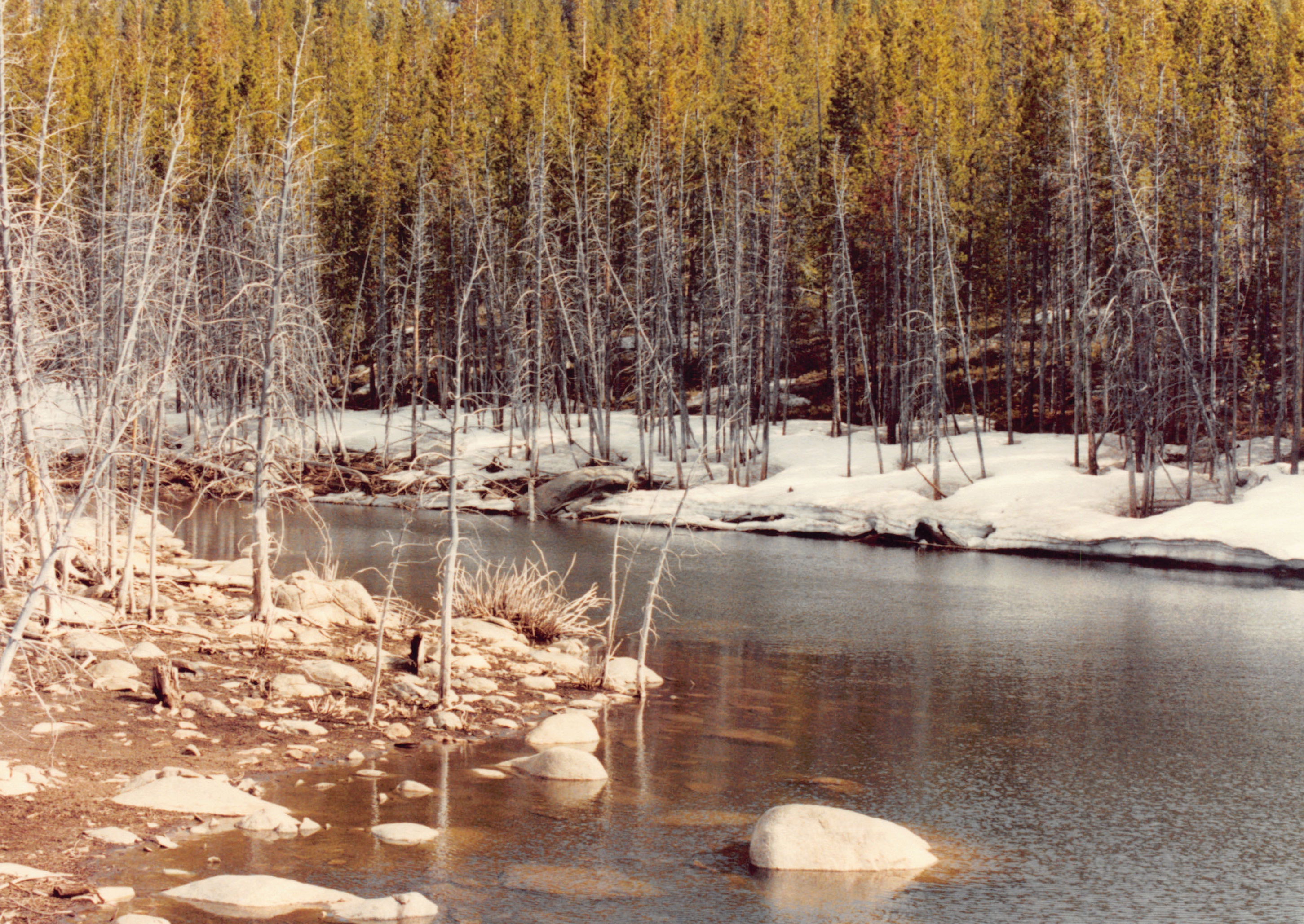 1990_69.jpg