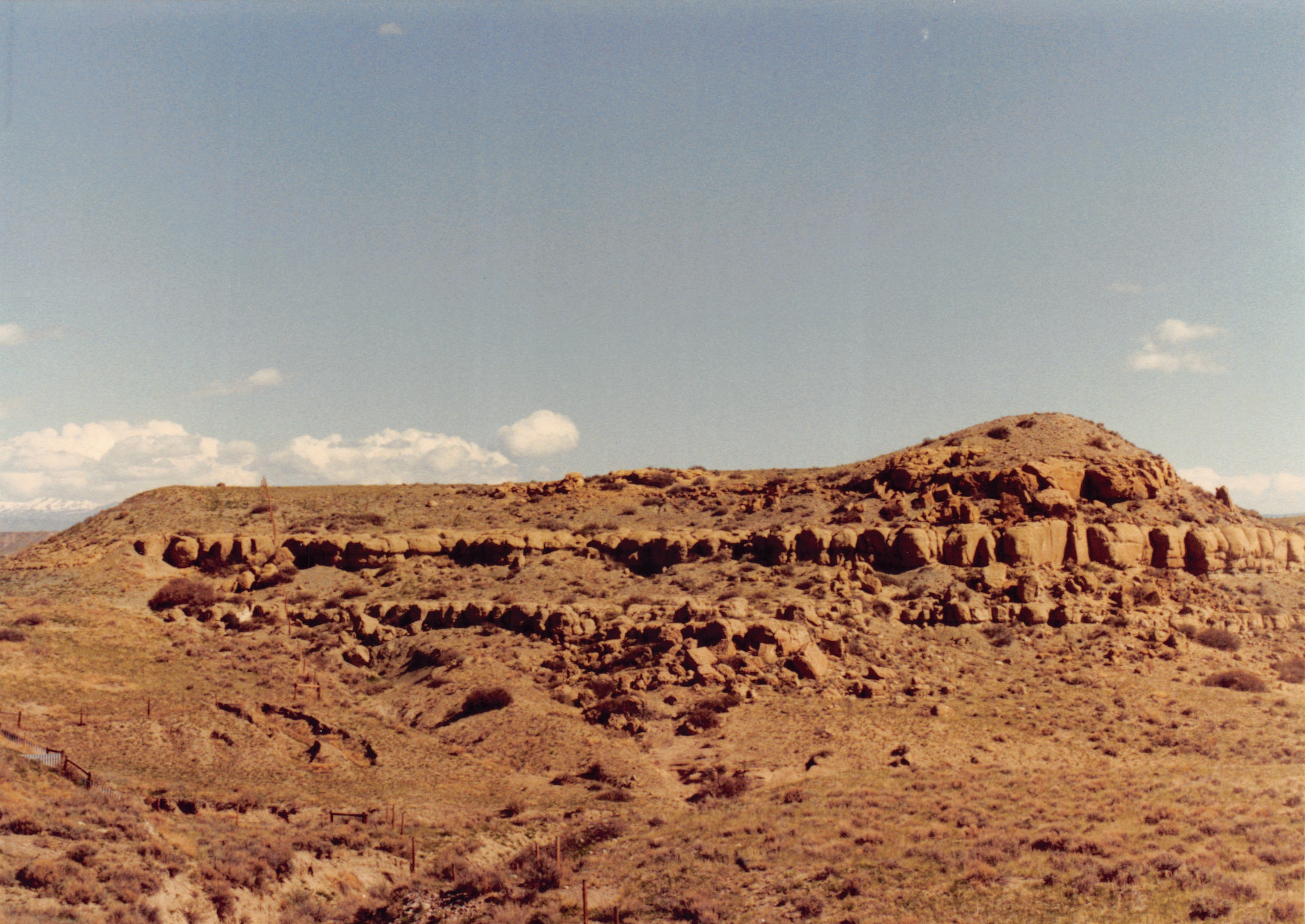 1990_73.jpg