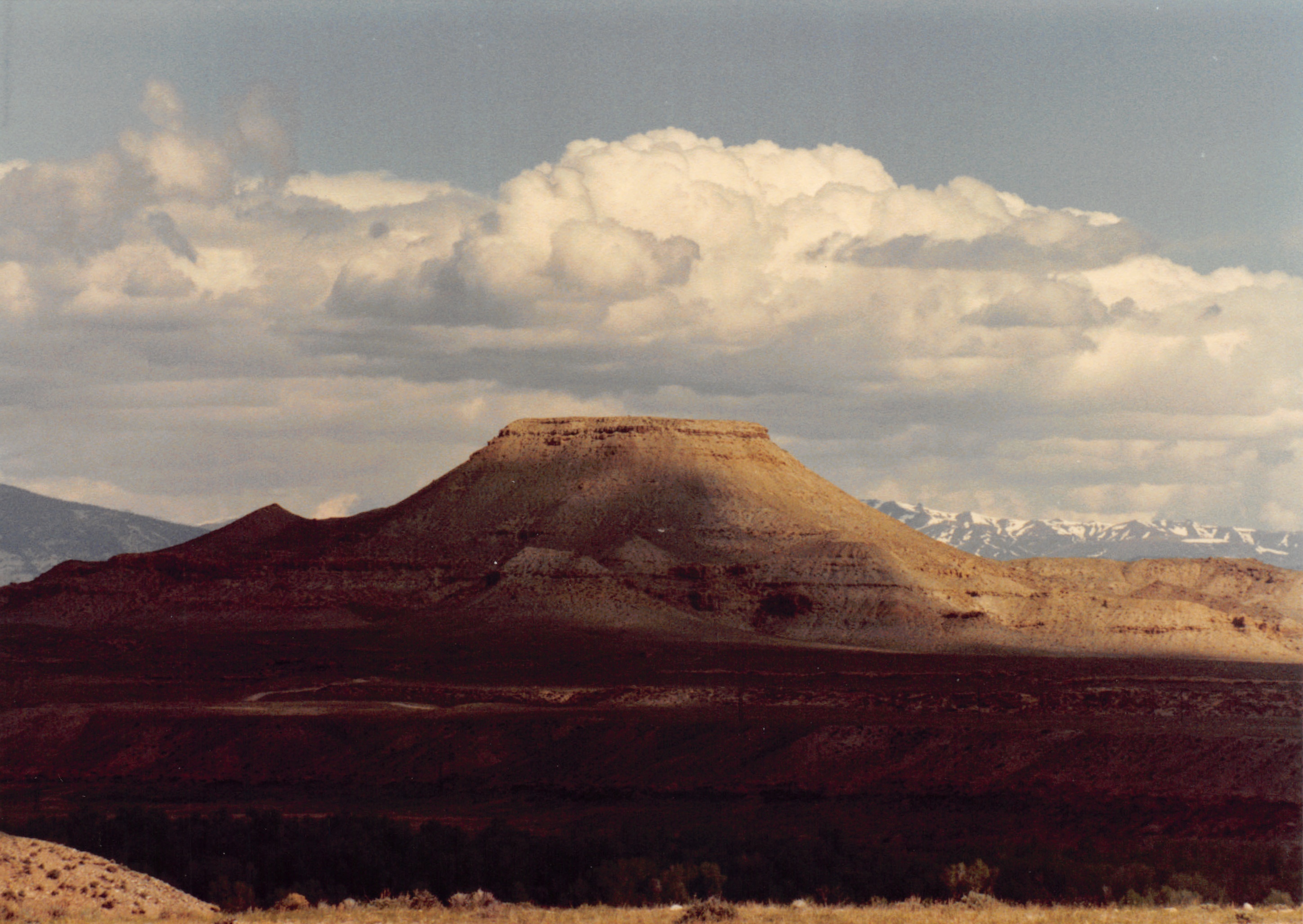 1990_74.jpg