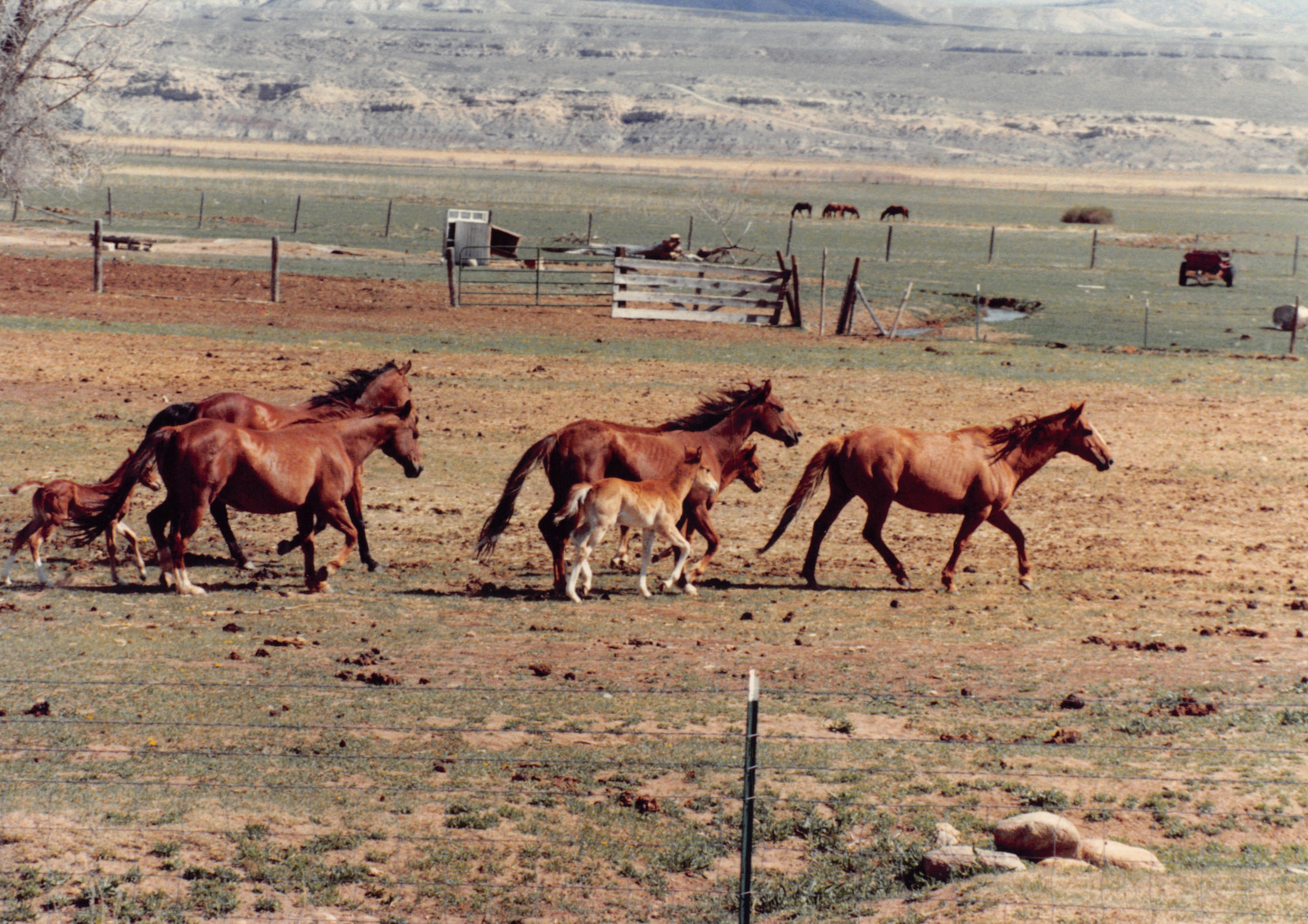 1990_75.jpg