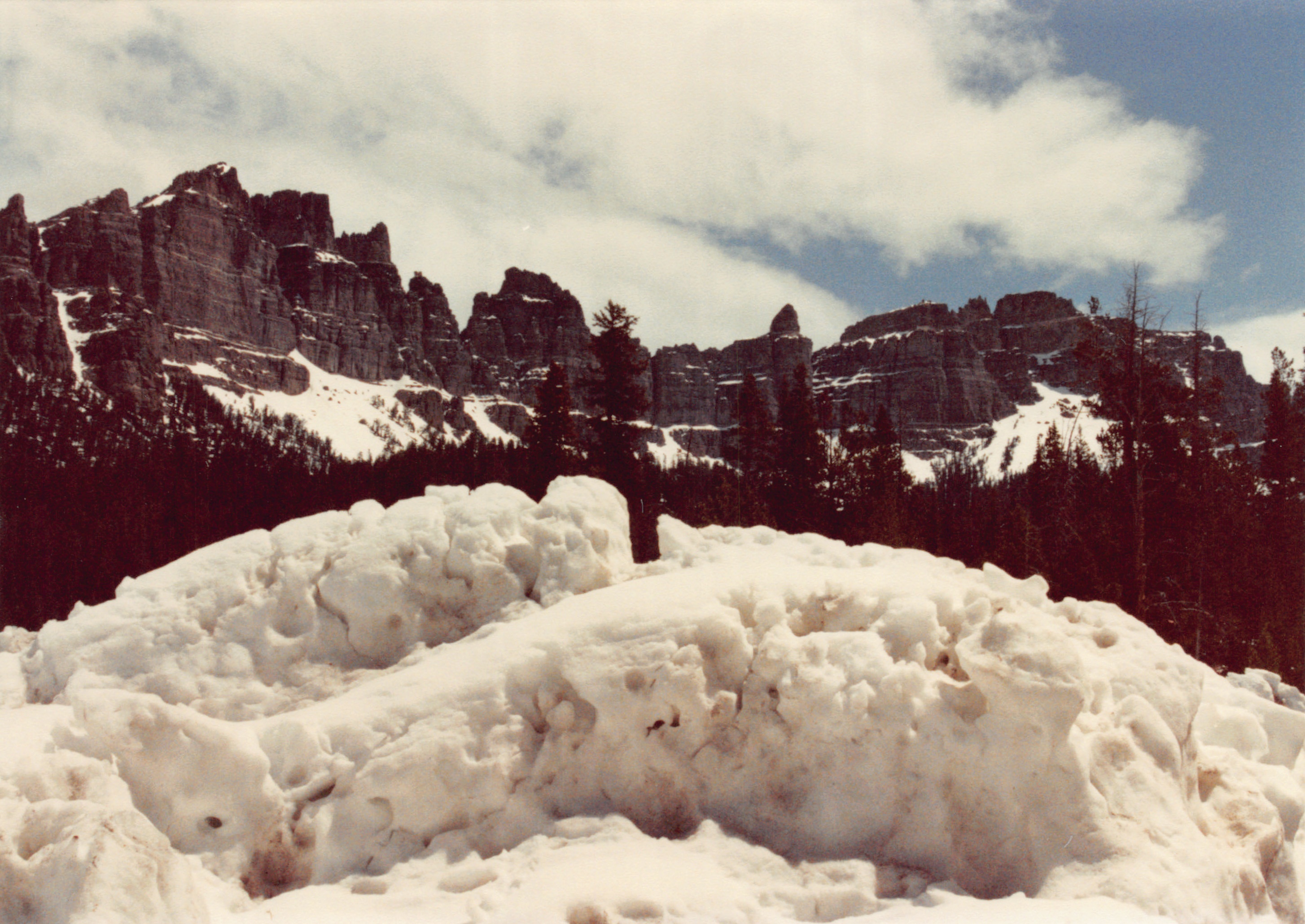 1990_82.jpg