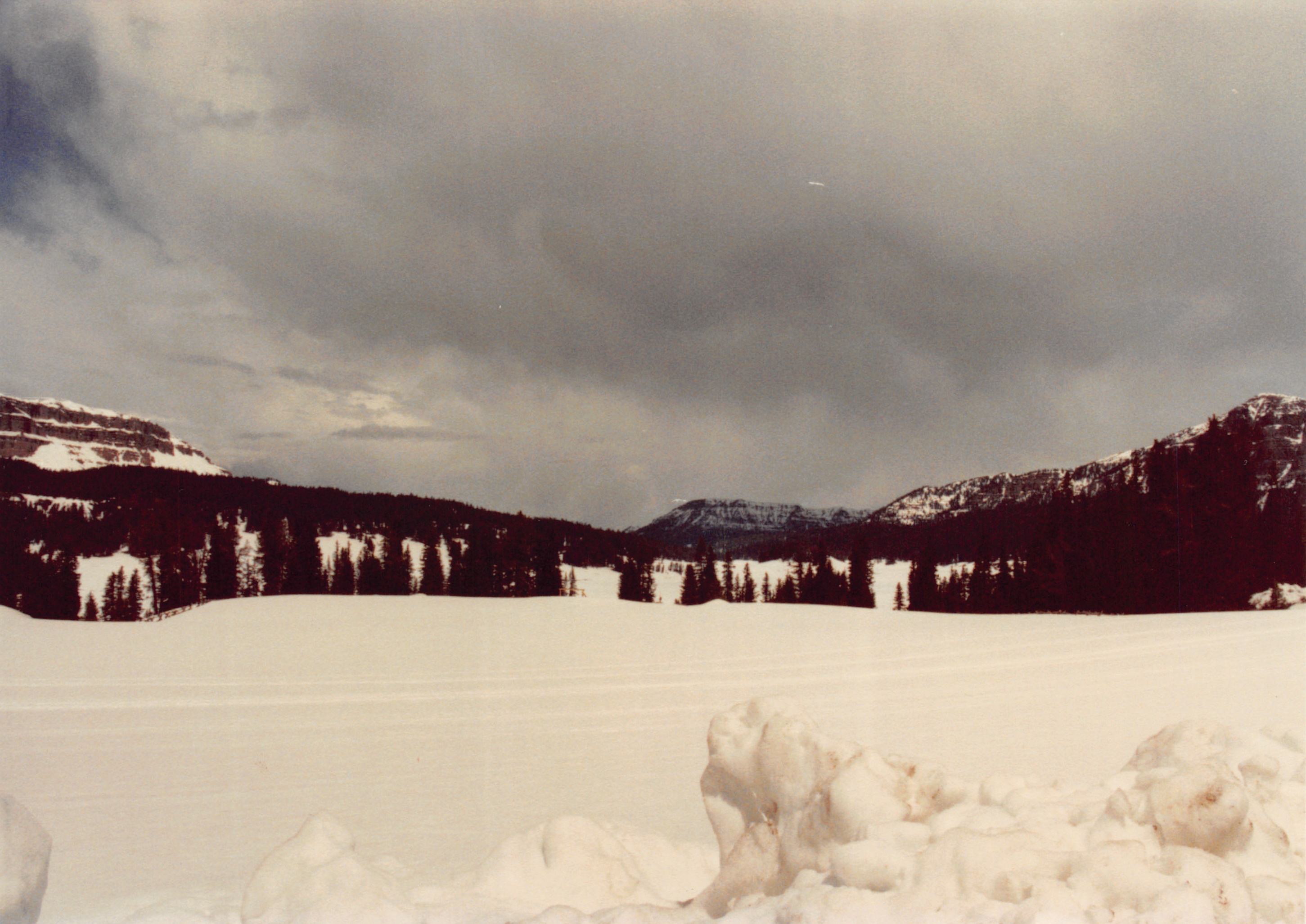 1990_83.jpg