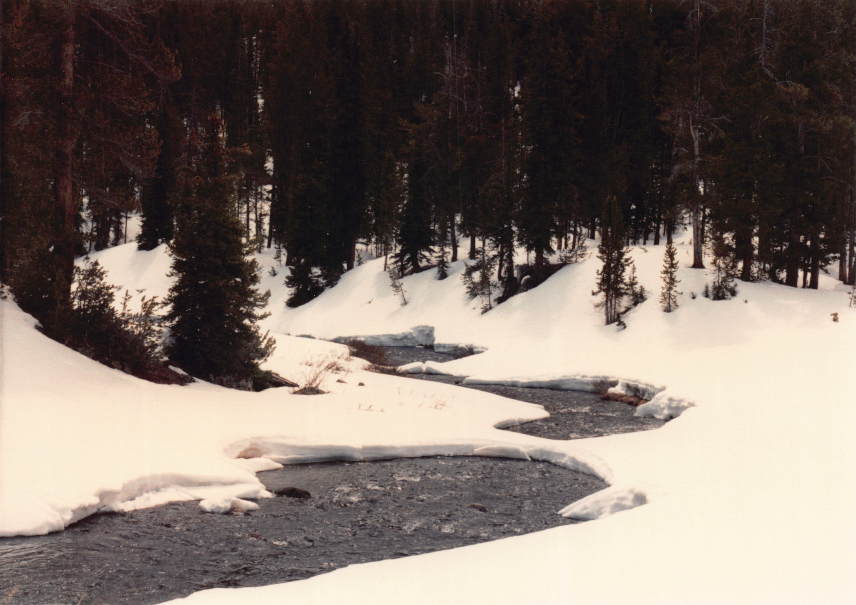 1990_84.jpg