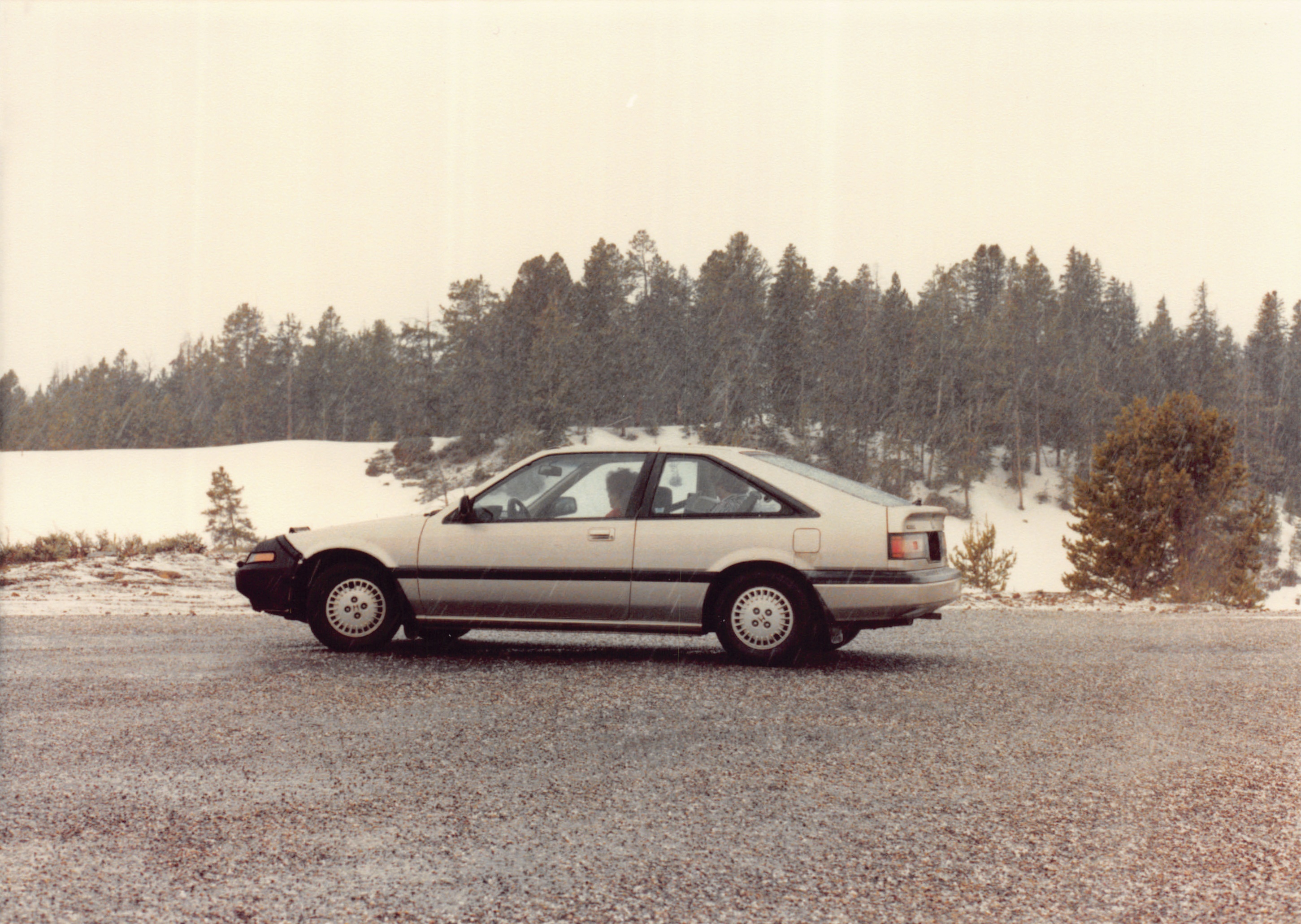 1990_85.jpg