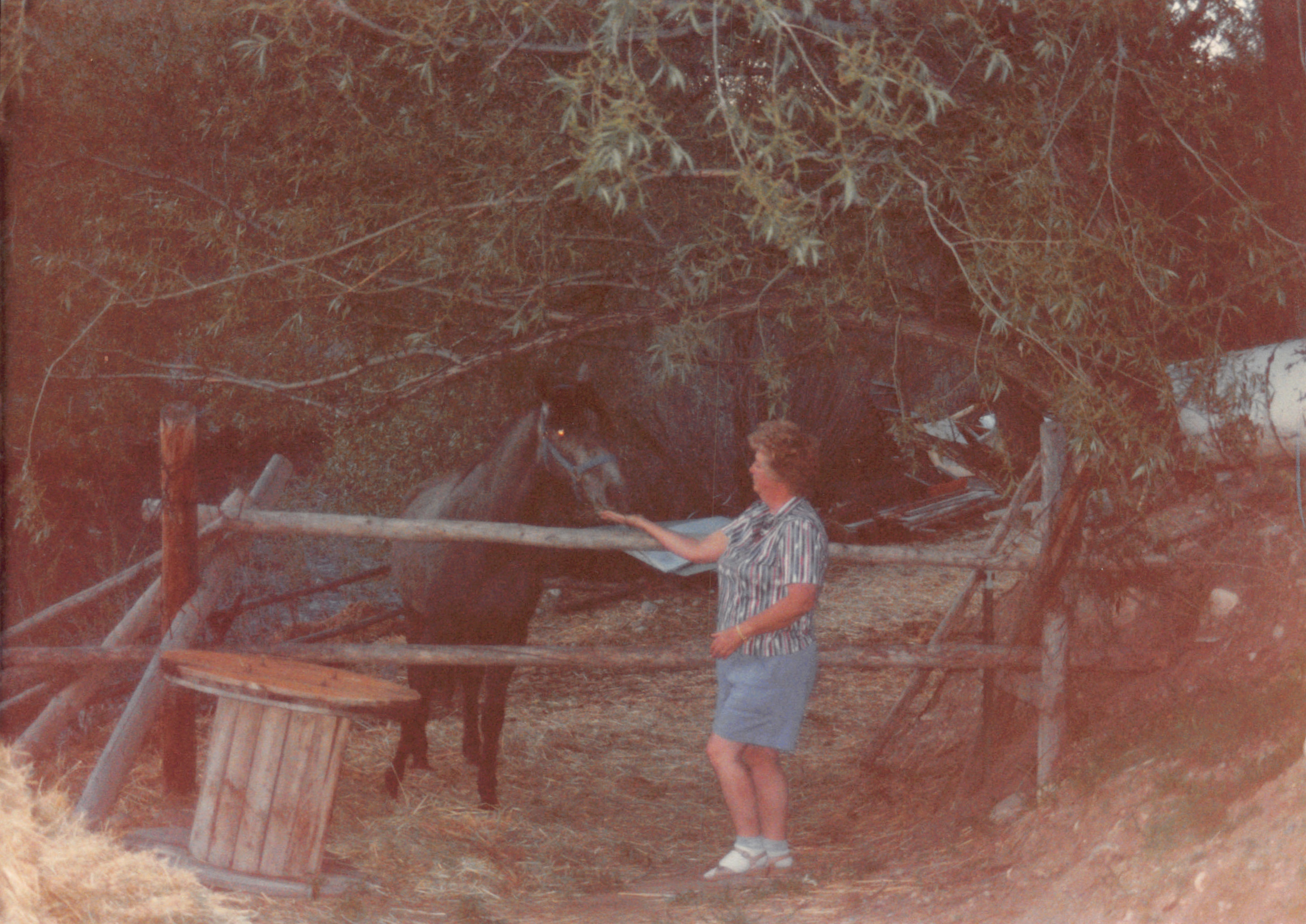 1990_87.jpg