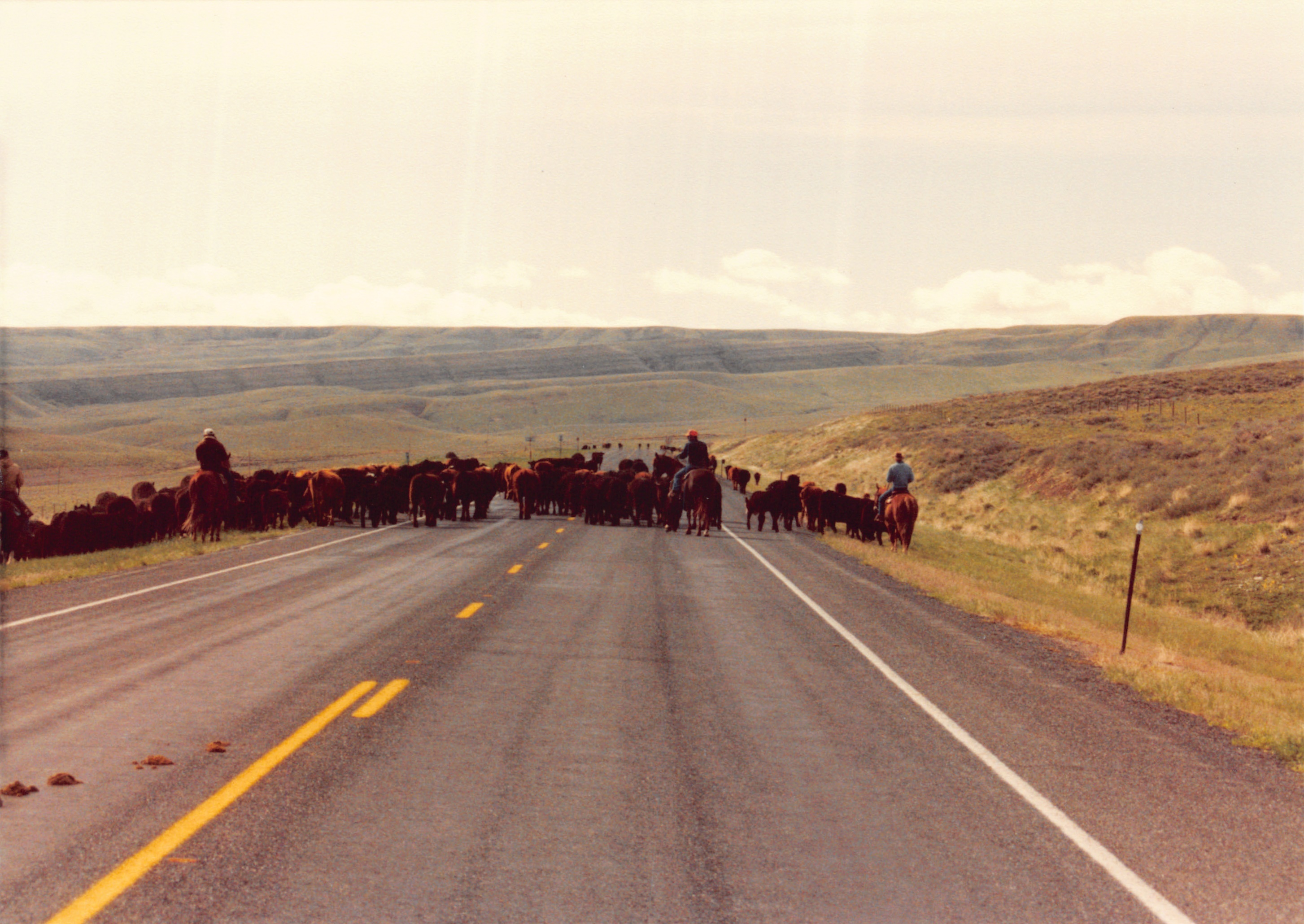 1990_91.jpg