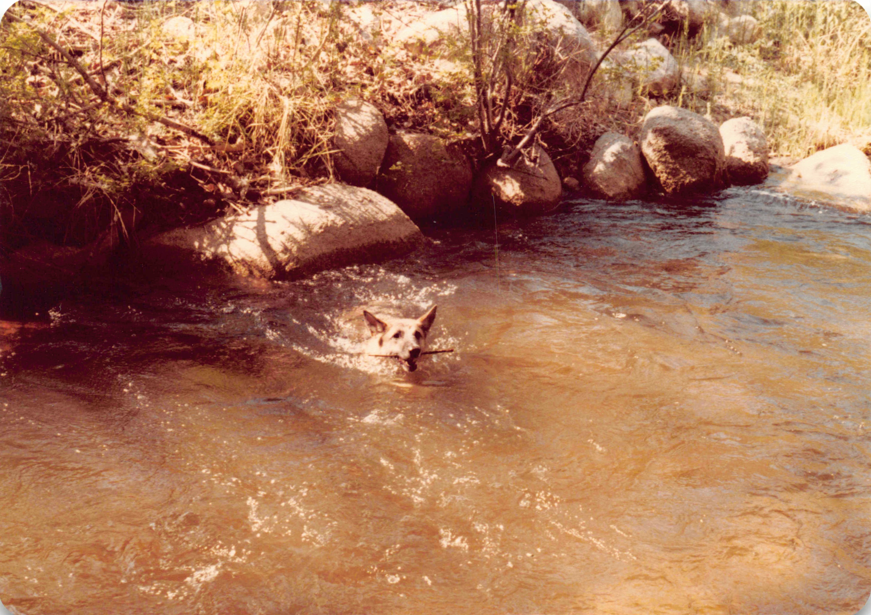 1980-1984_104.jpg