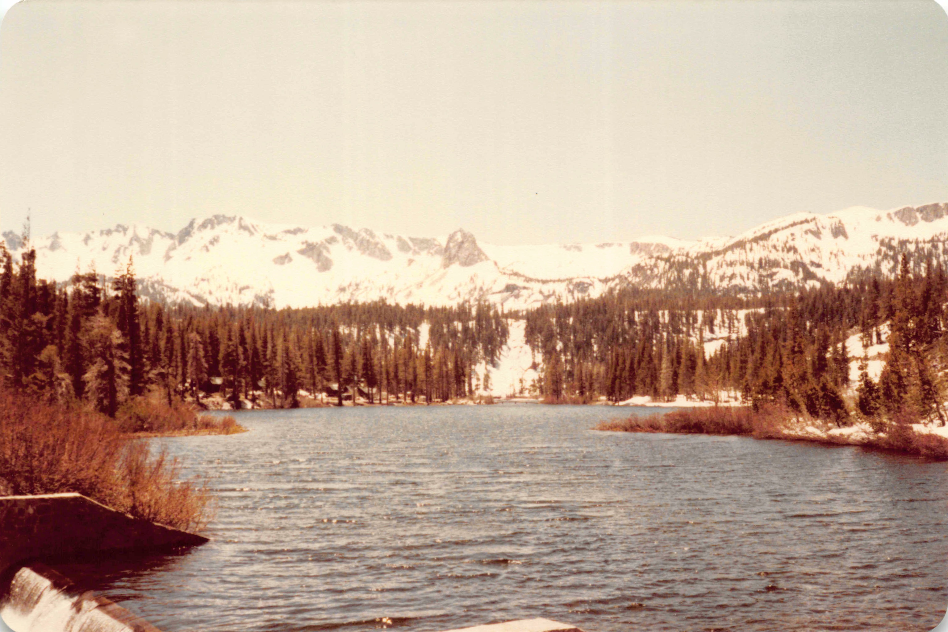 1980-1984_110.jpg