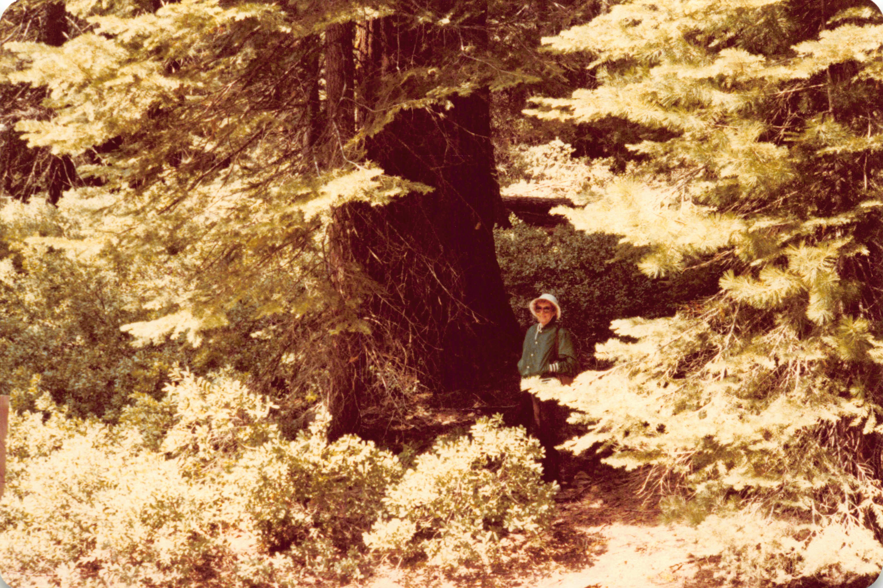 1980-1984_111.jpg