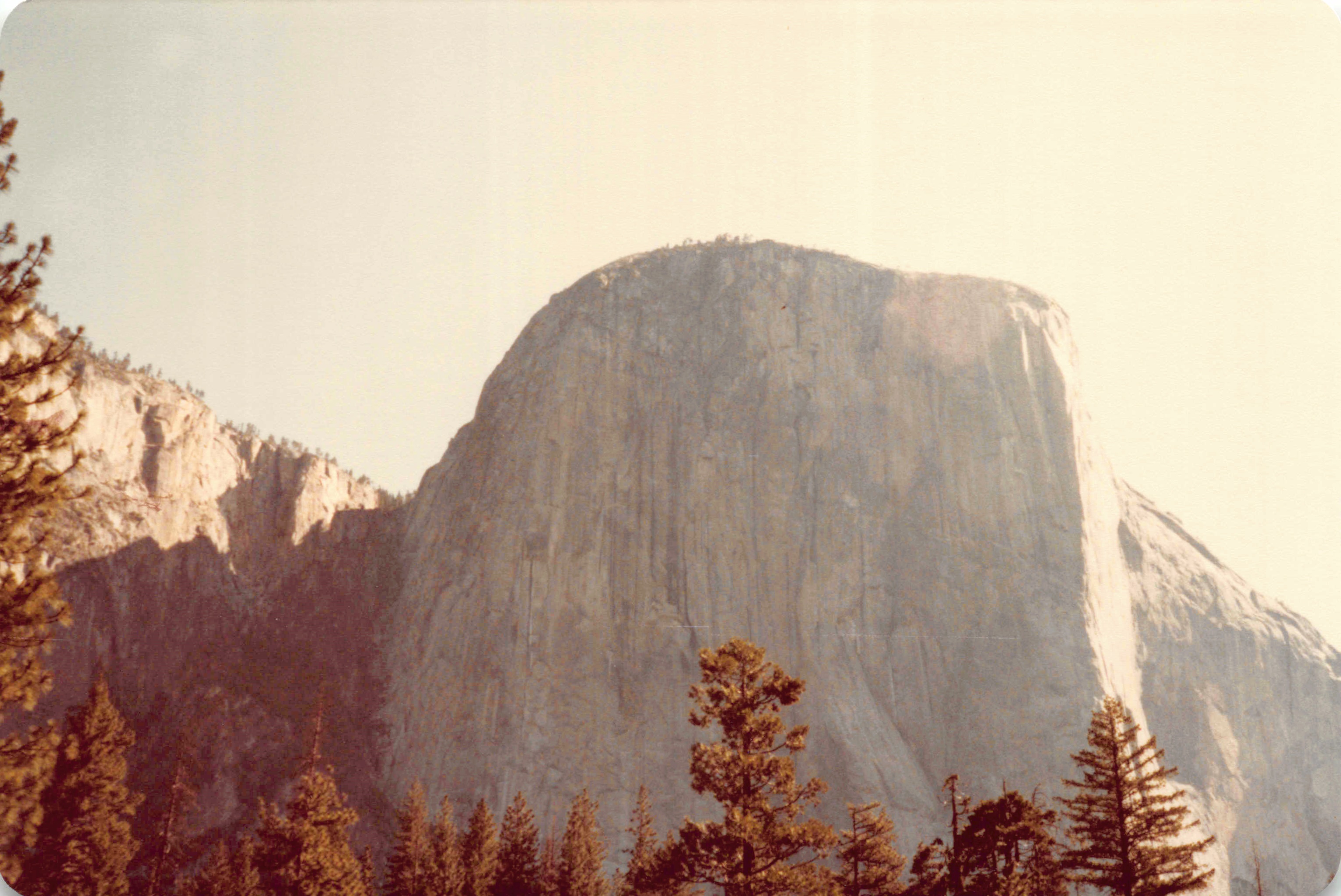 1980-1984_115.jpg