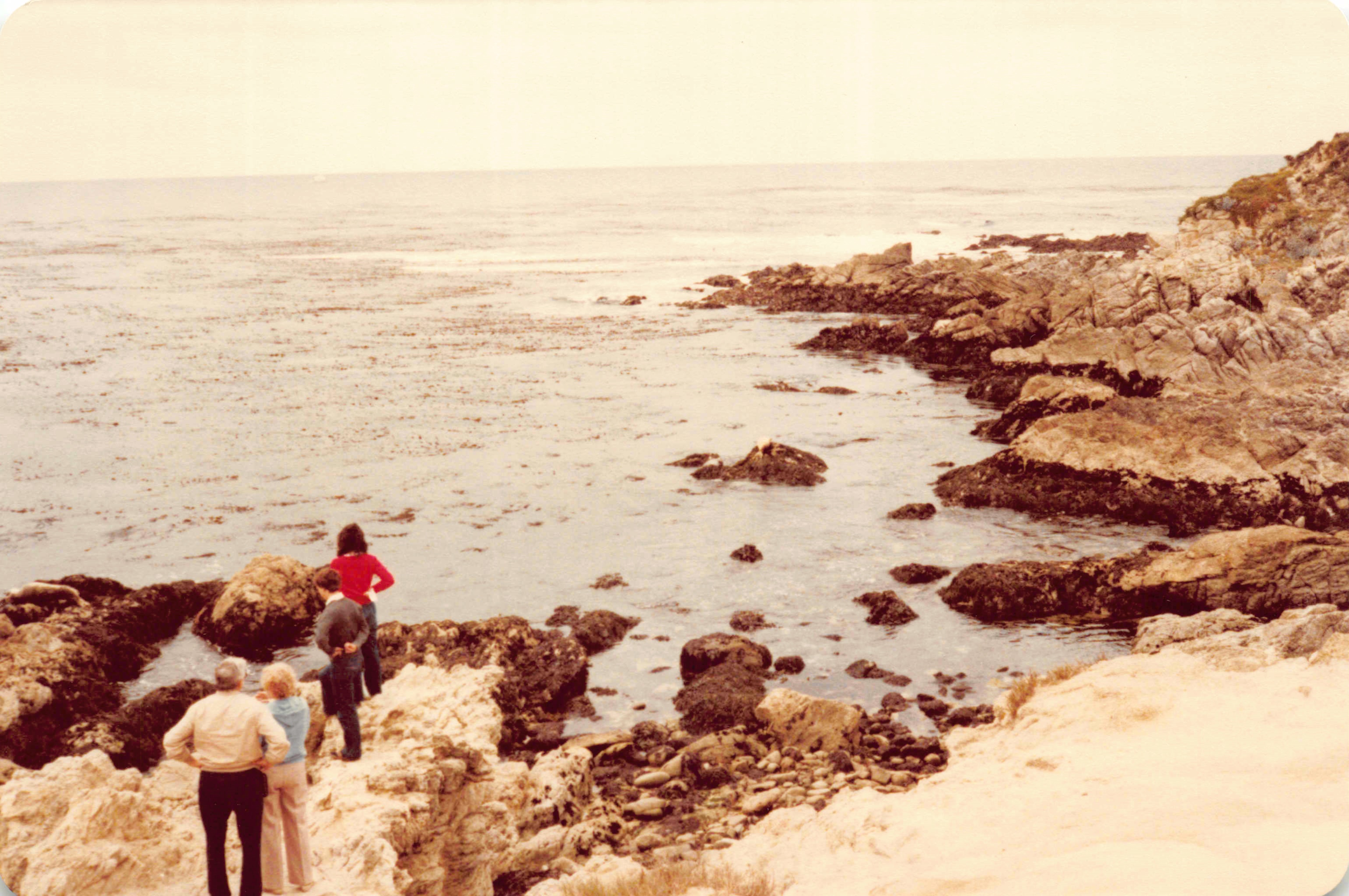 1980-1984_120.jpg