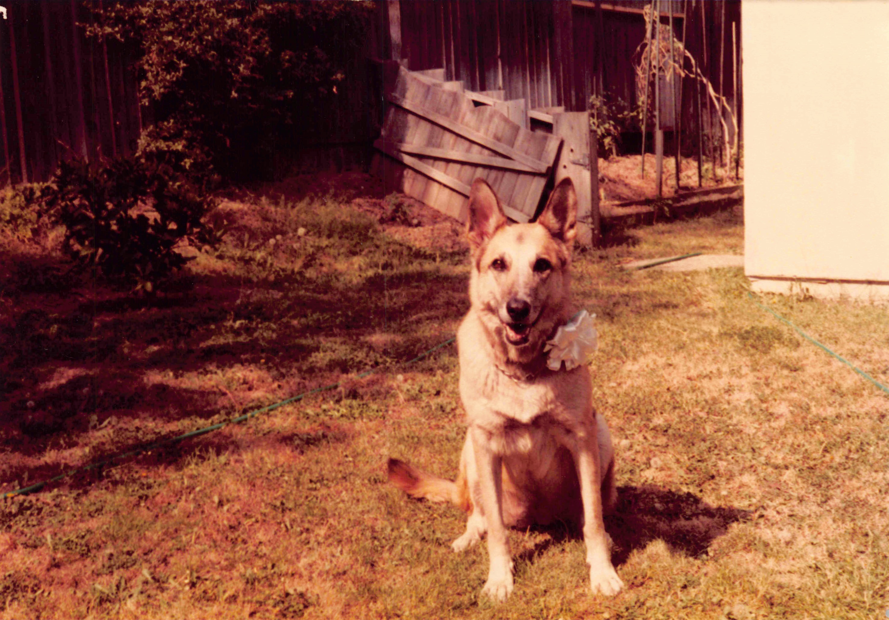 1980-1984_128.jpg