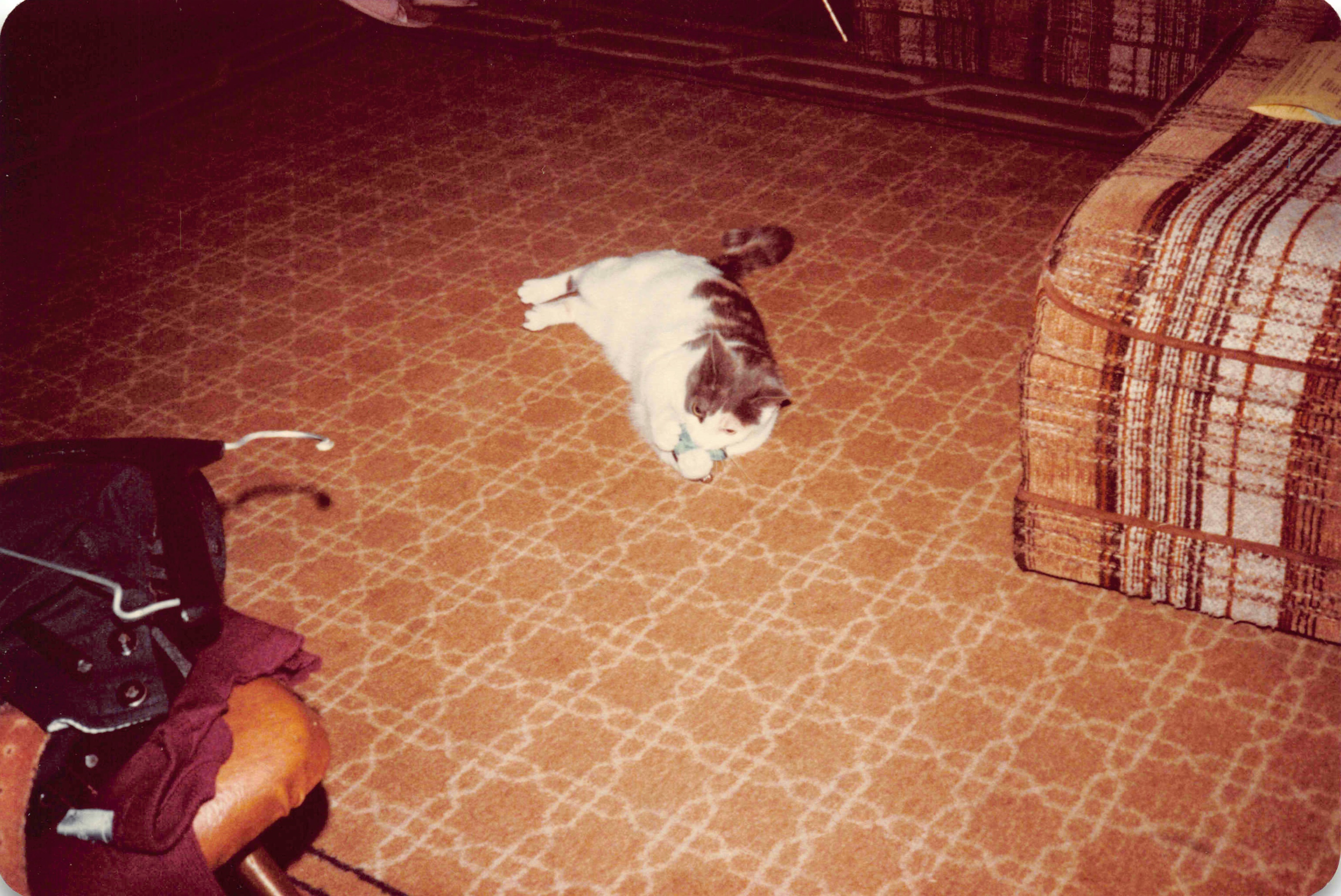 1980-1984_142.jpg