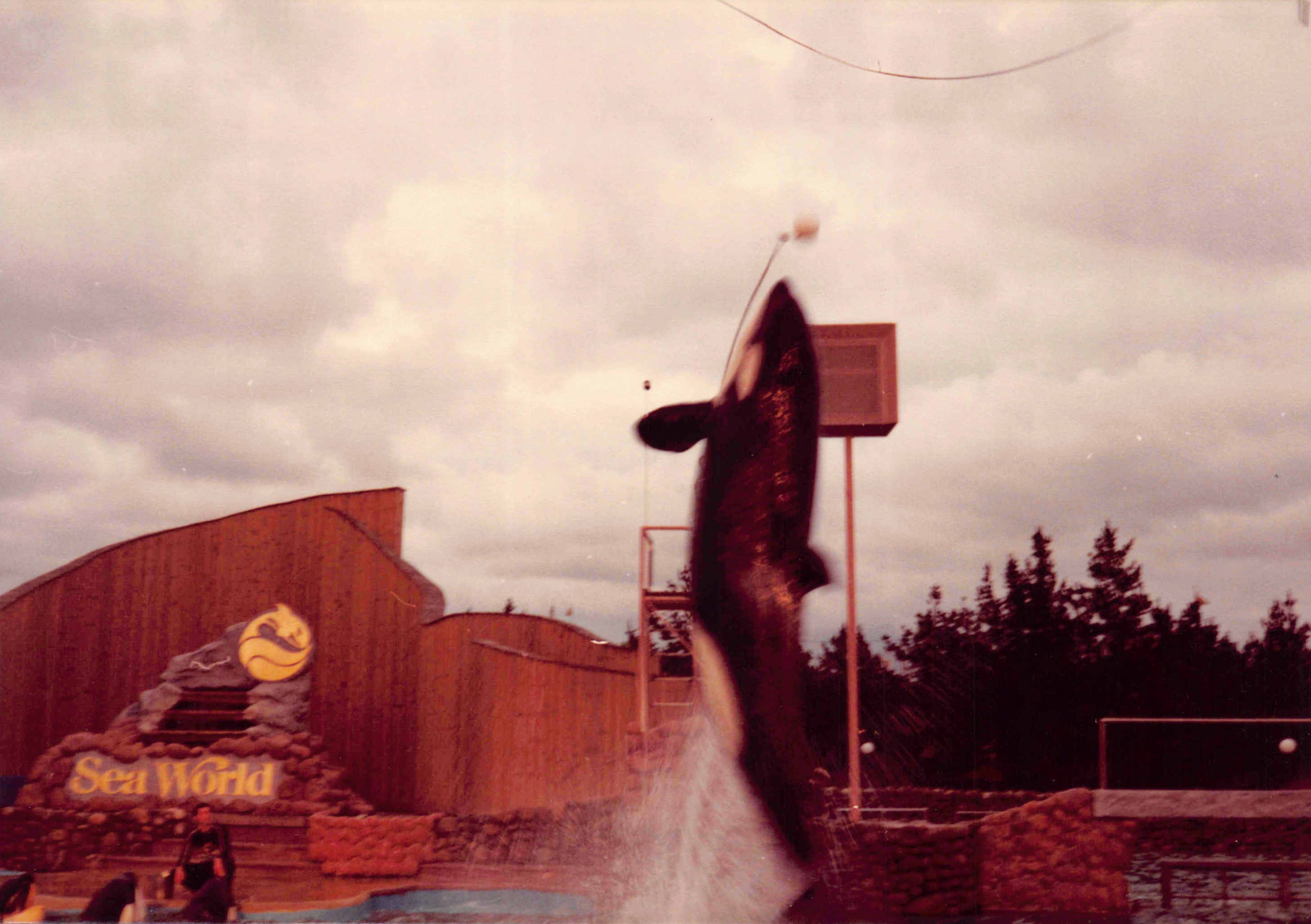 1980-1984_152.jpg
